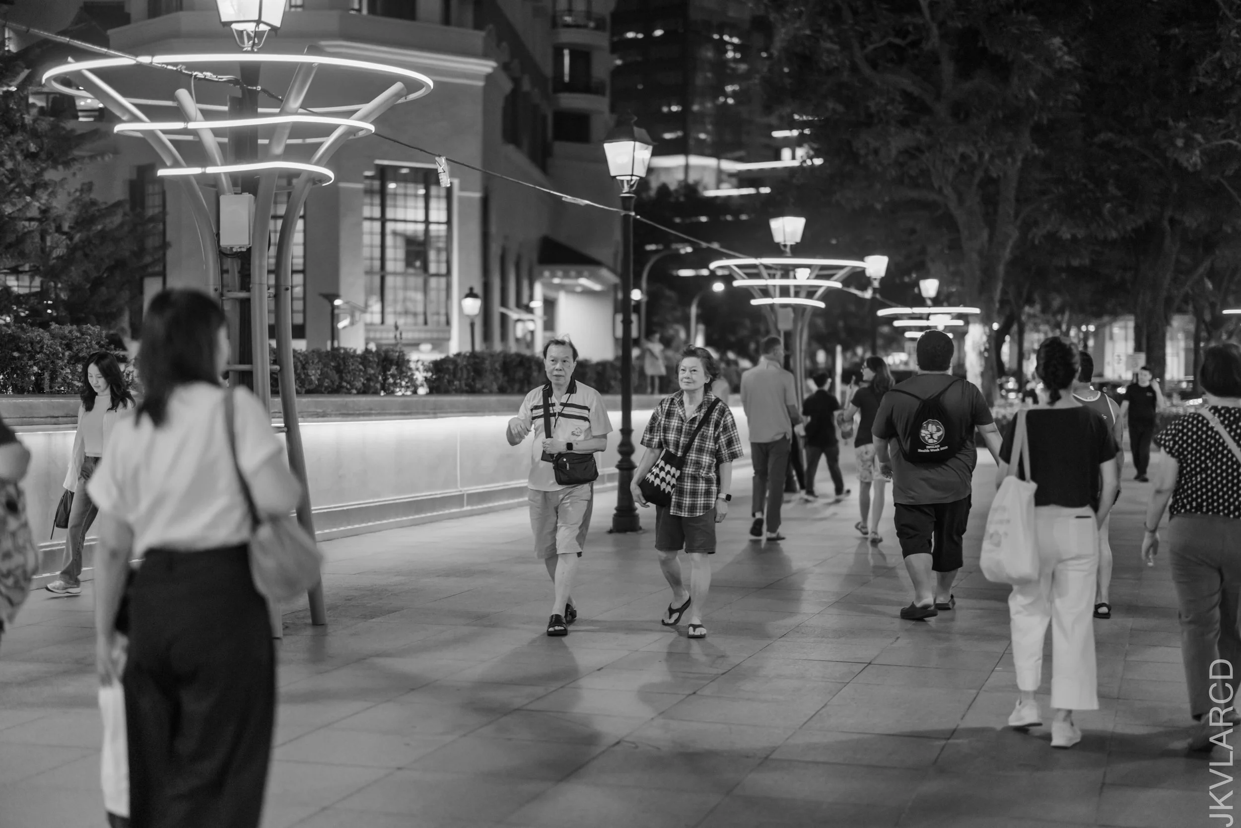 EOS R5_2026_01_24_0116.jpg