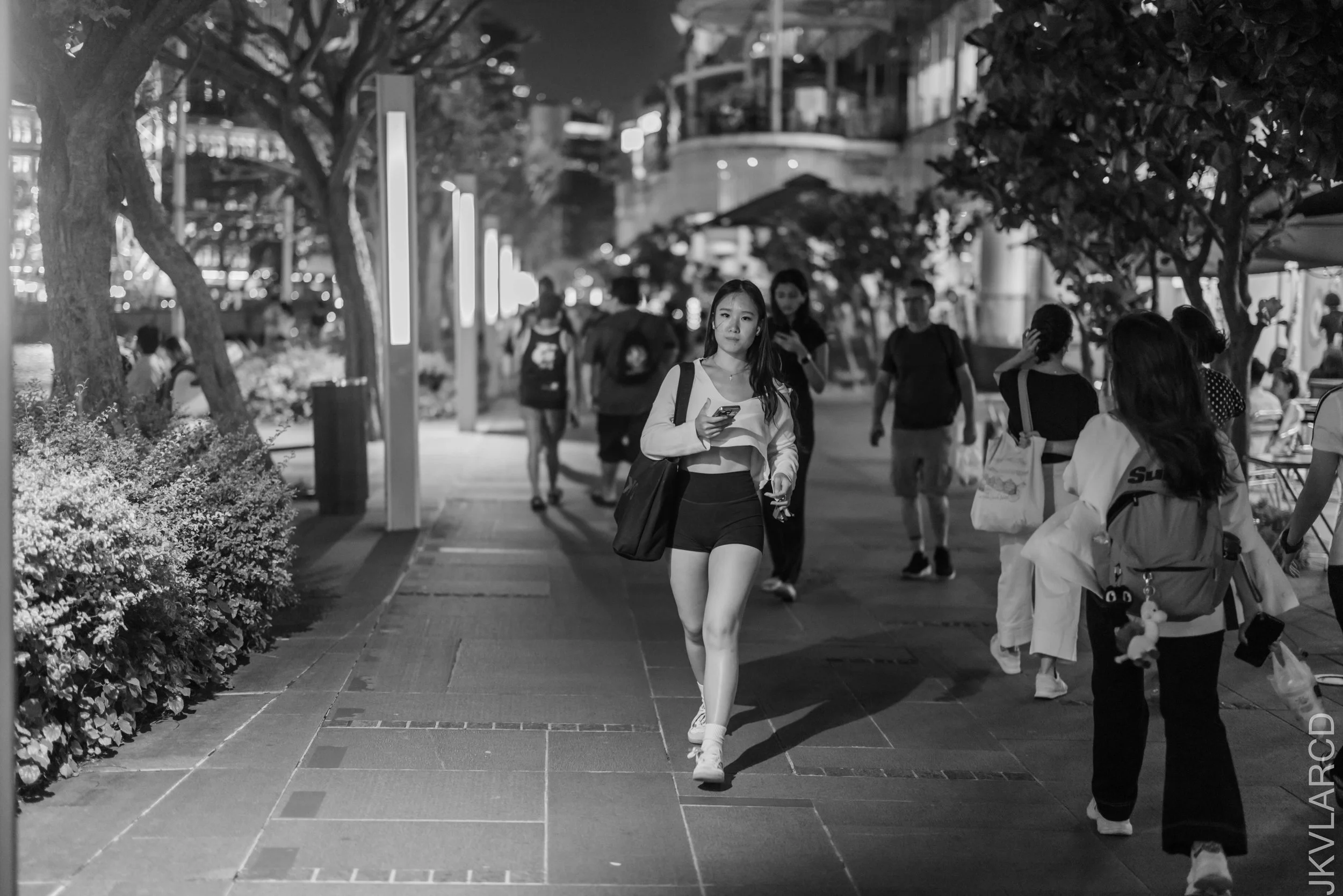 EOS R5_2026_01_24_0124.jpg