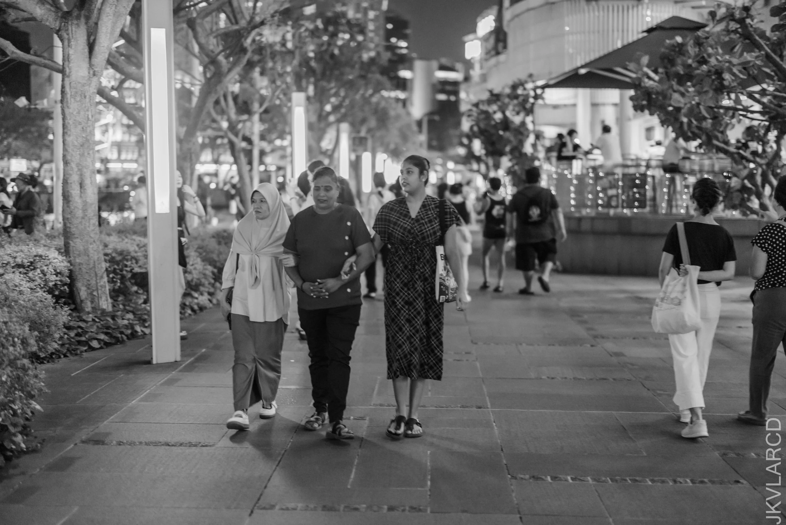 EOS R5_2026_01_24_0130.jpg