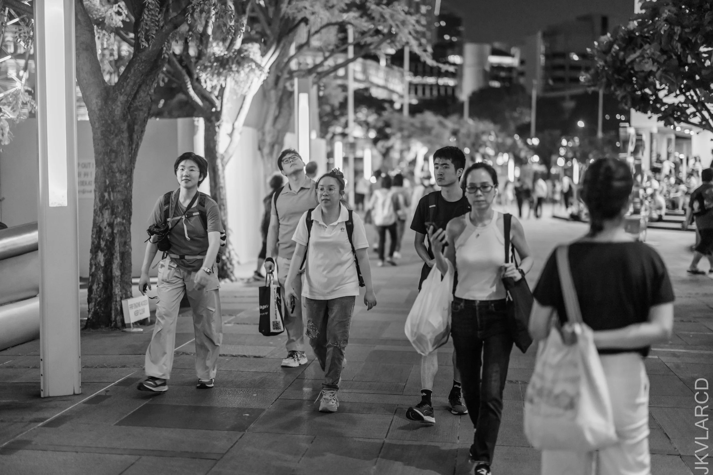 EOS R5_2026_01_24_0137.jpg