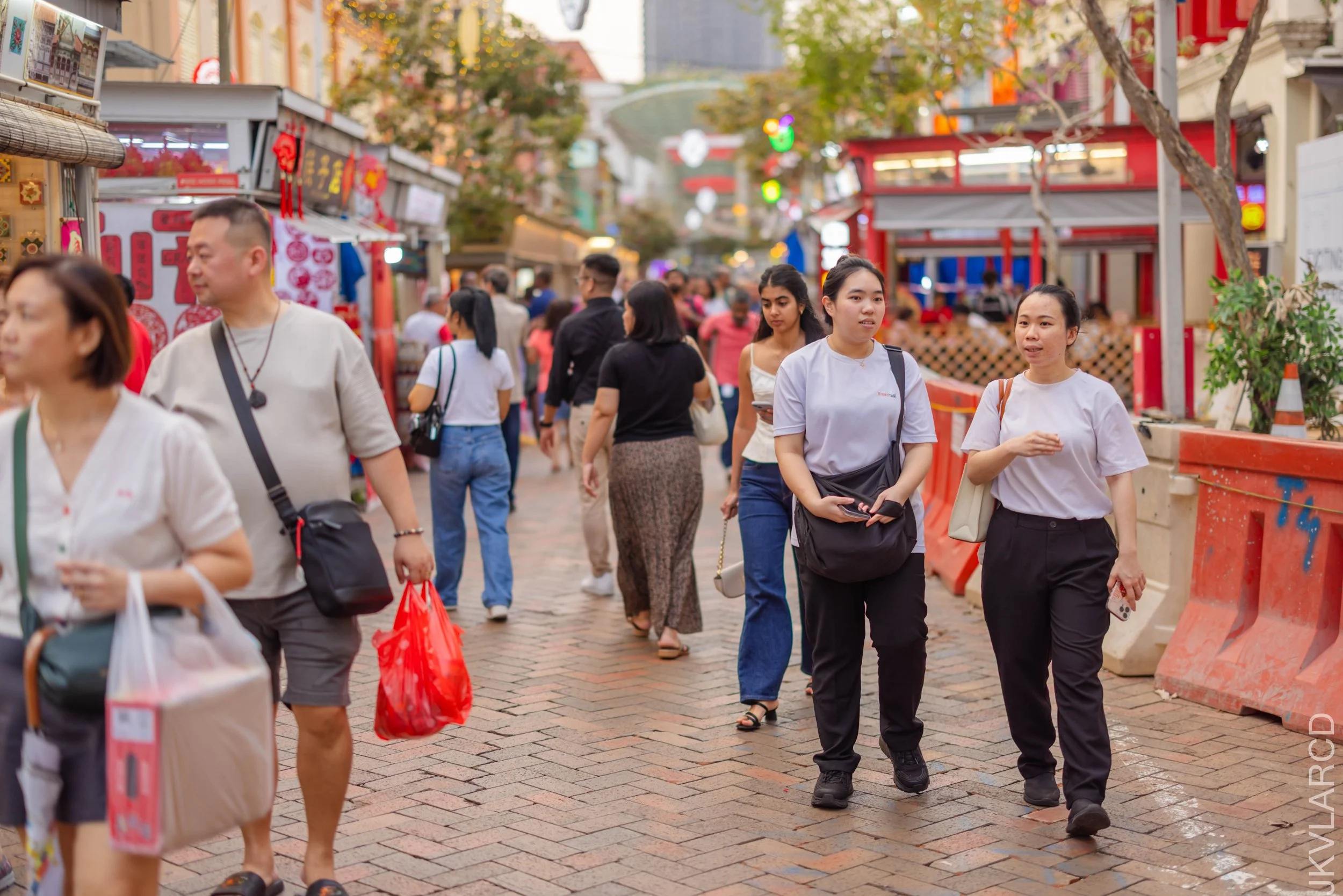 EOS R5_2026_02_07_0032.jpg