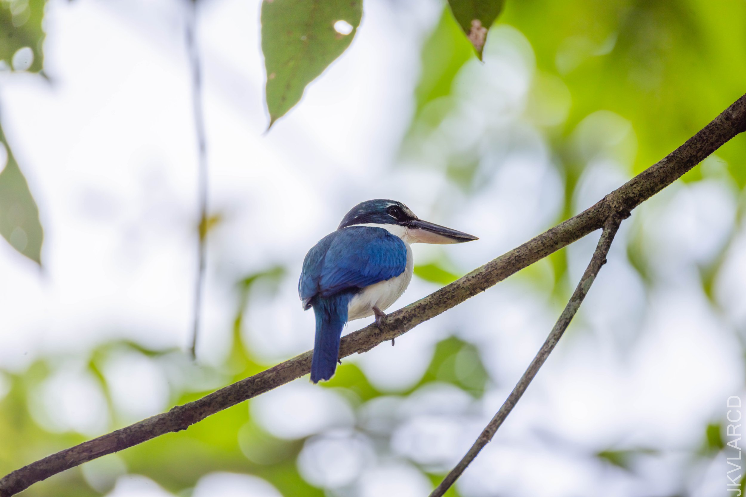 EOS R5_2026_02_21_0365.jpg