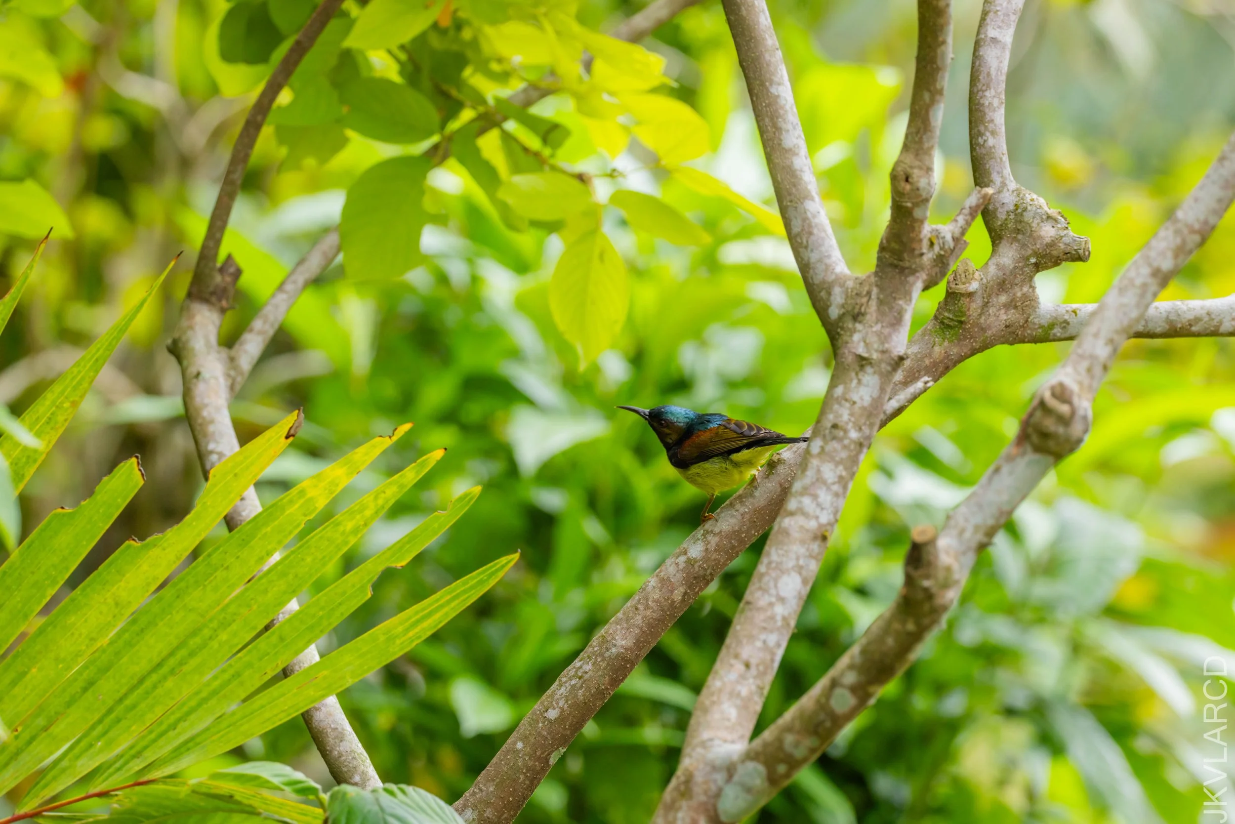 EOS R5_2026_02_21_0446.jpg