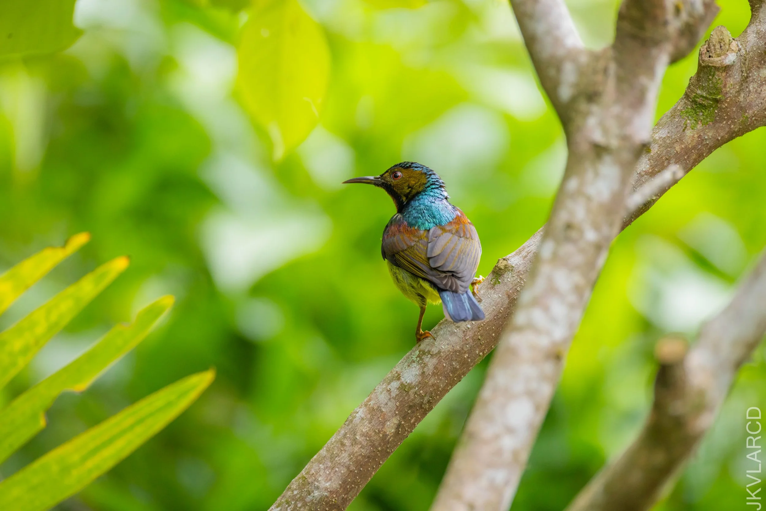 EOS R5_2026_02_21_0460.jpg