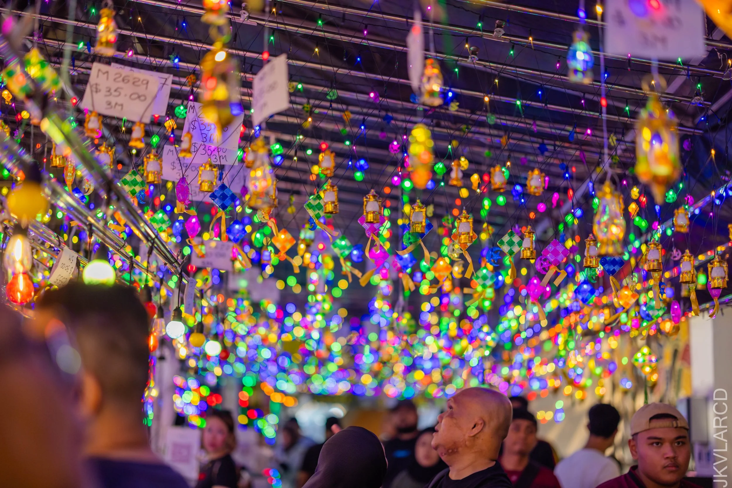 EOS R5_2026_03_14_0078.jpg