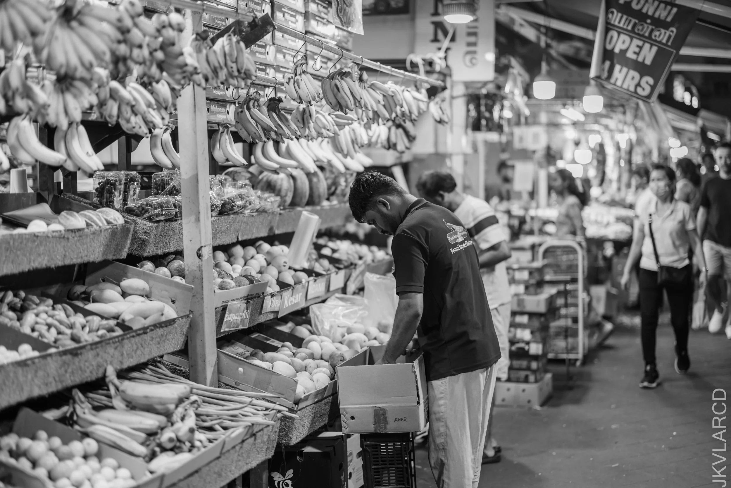 EOS R5_2026_04_04_0005.jpg