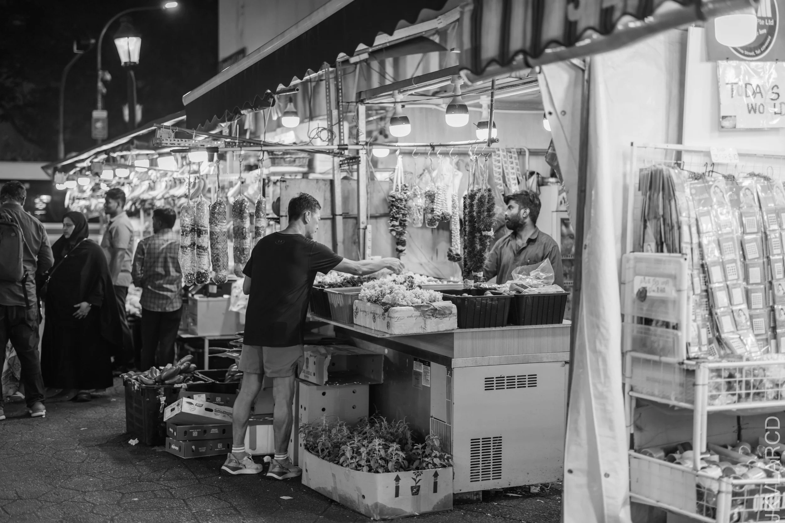 EOS R5_2026_04_04_0023.jpg