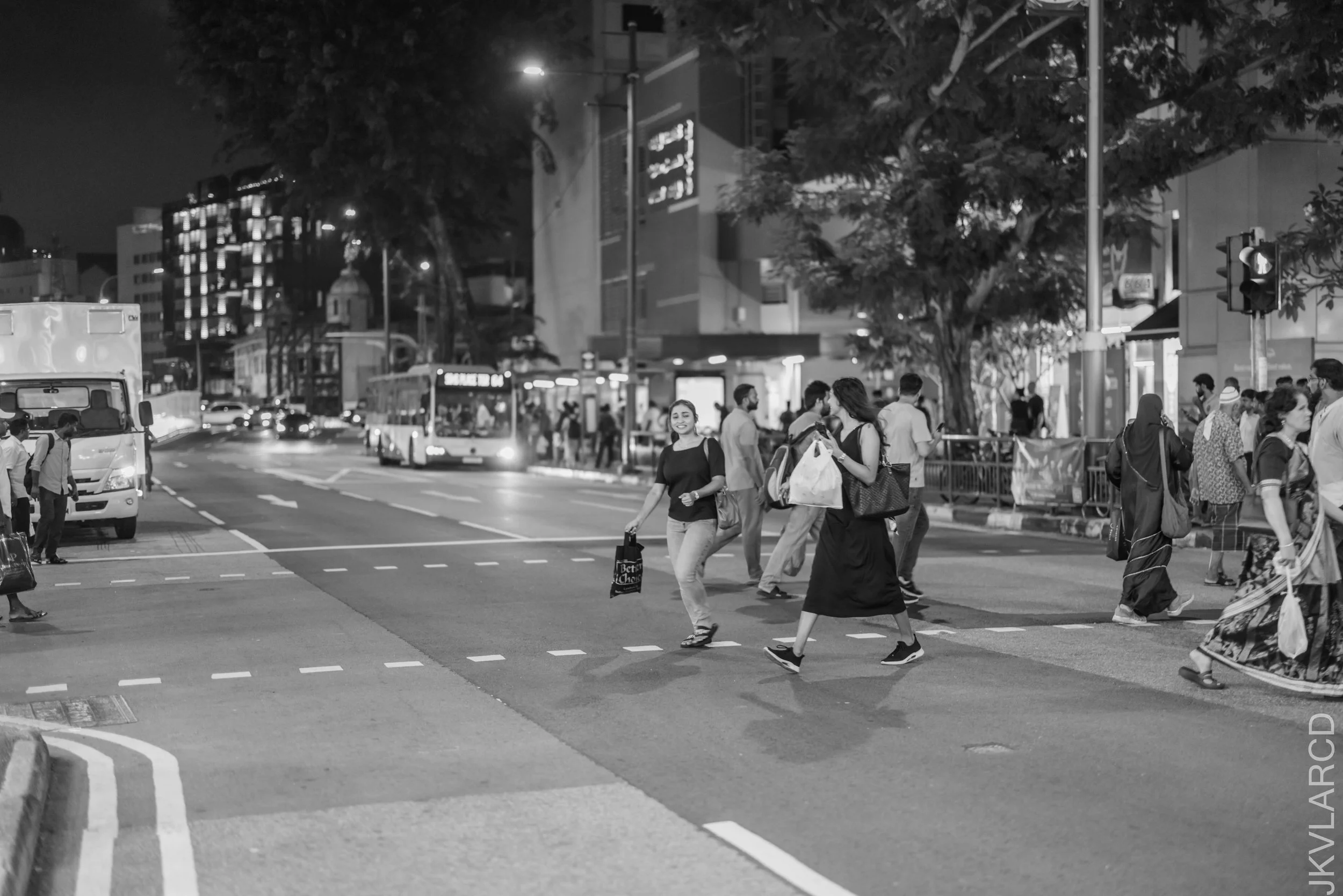 EOS R5_2026_04_04_0088.jpg