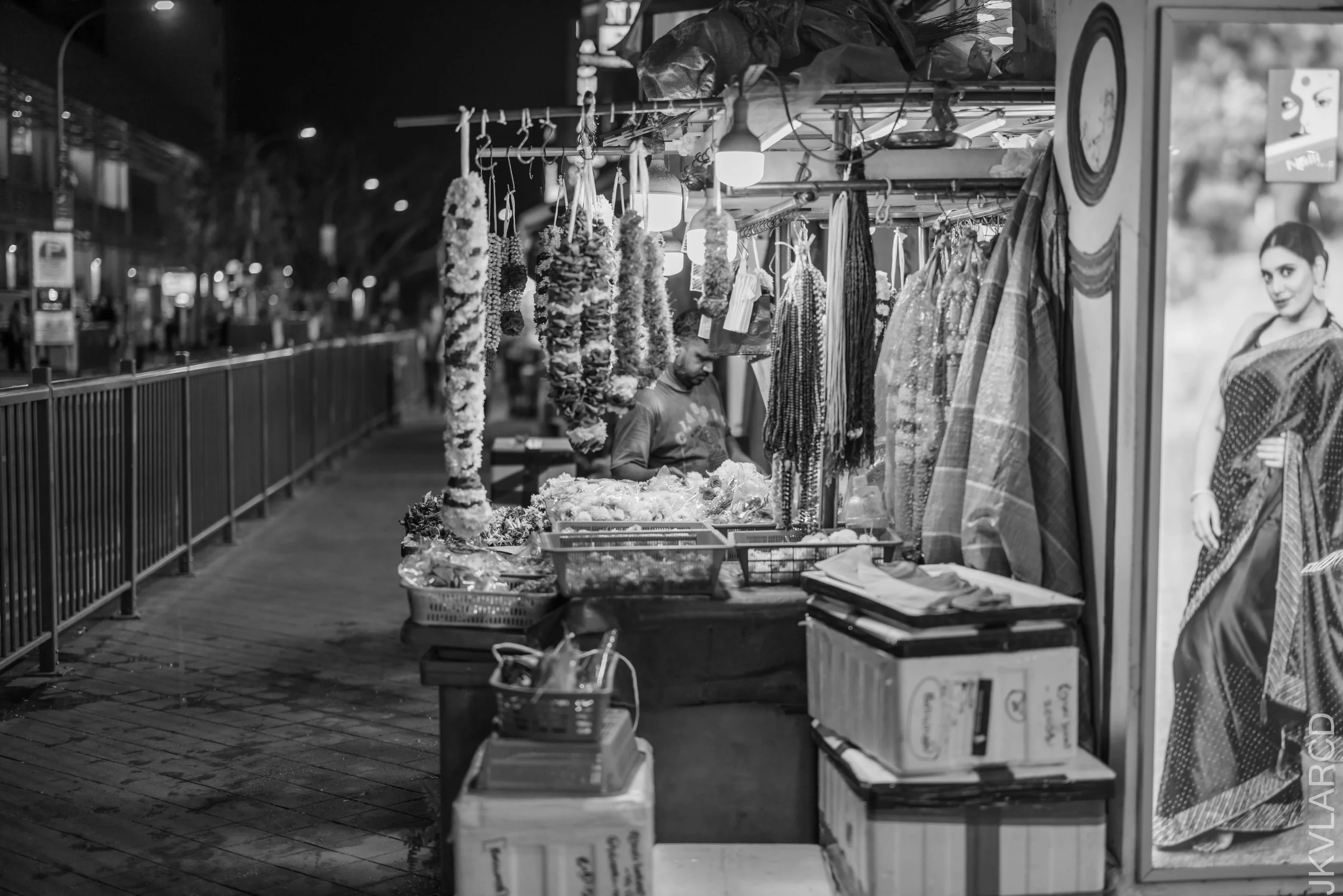 EOS R5_2026_04_04_0090.jpg