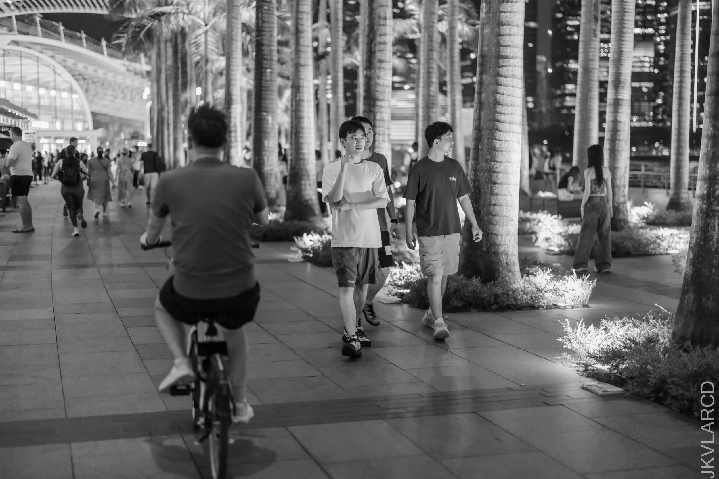 EOS R5_2026_04_11_0012.jpg