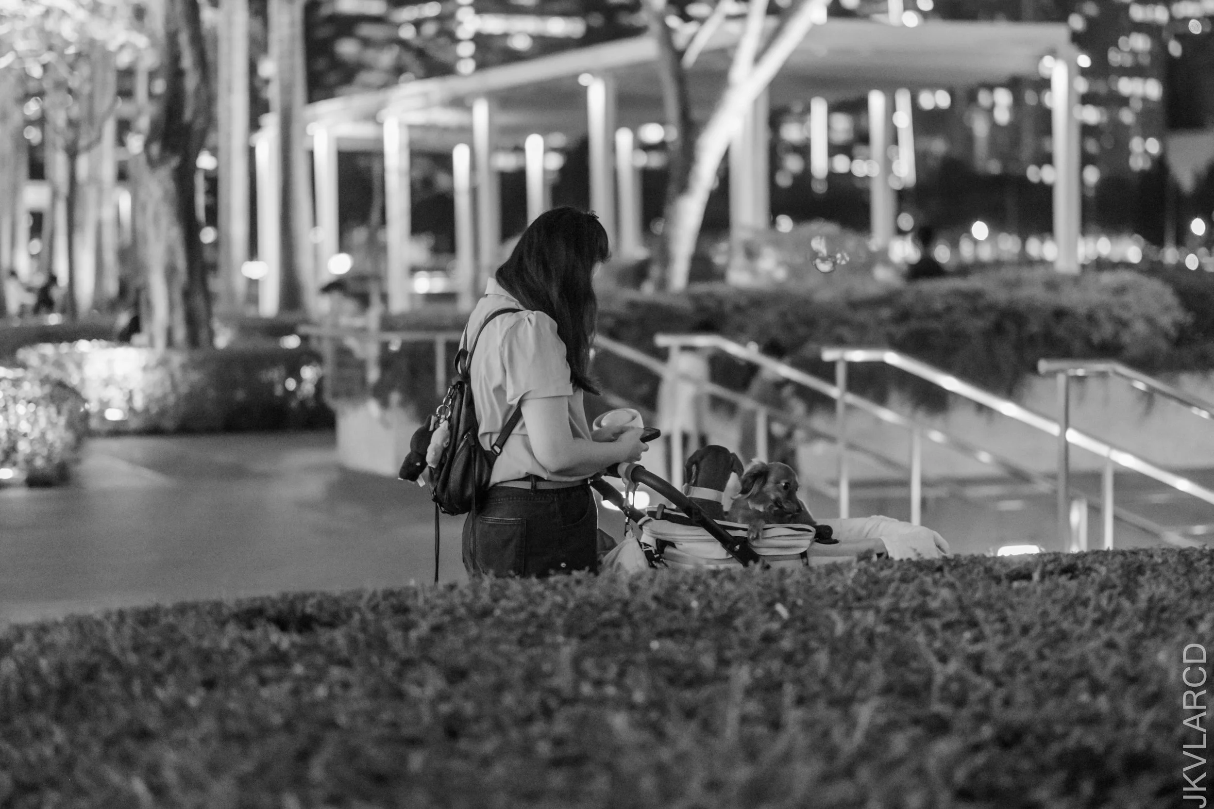 EOS R5_2026_04_11_0027.jpg