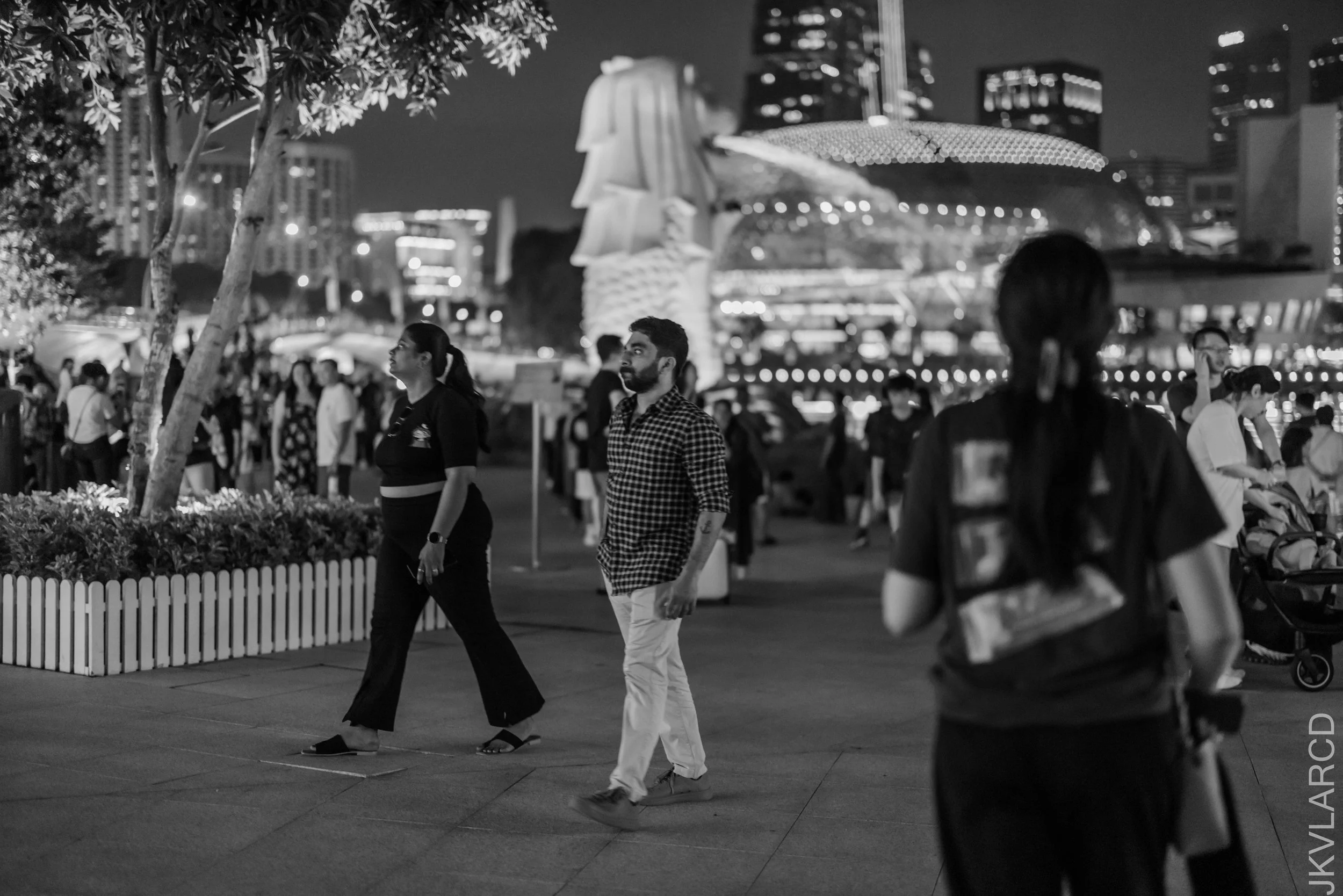 EOS R5_2026_04_11_0085.jpg