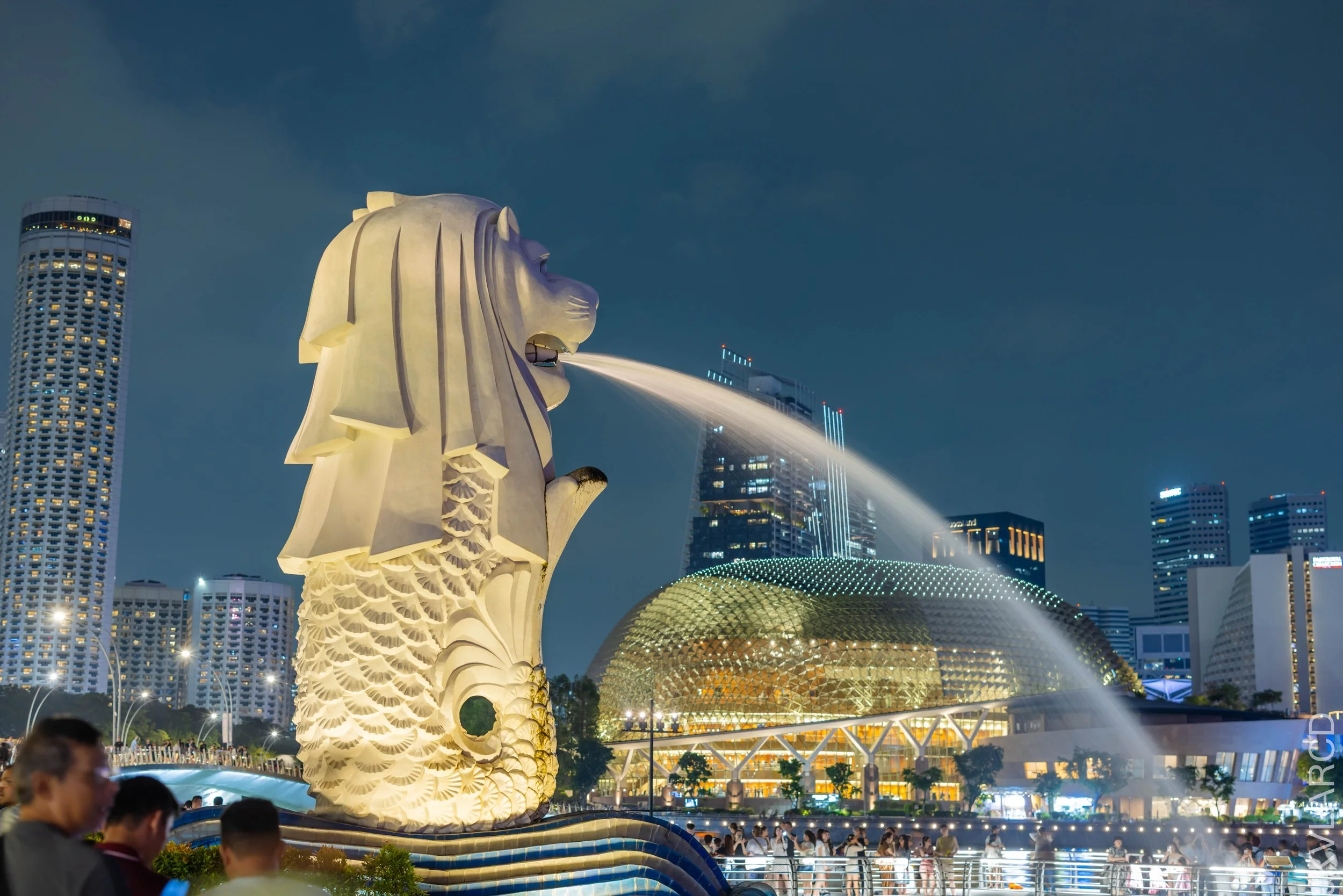 EOS R5_2026_04_11_0086.jpg