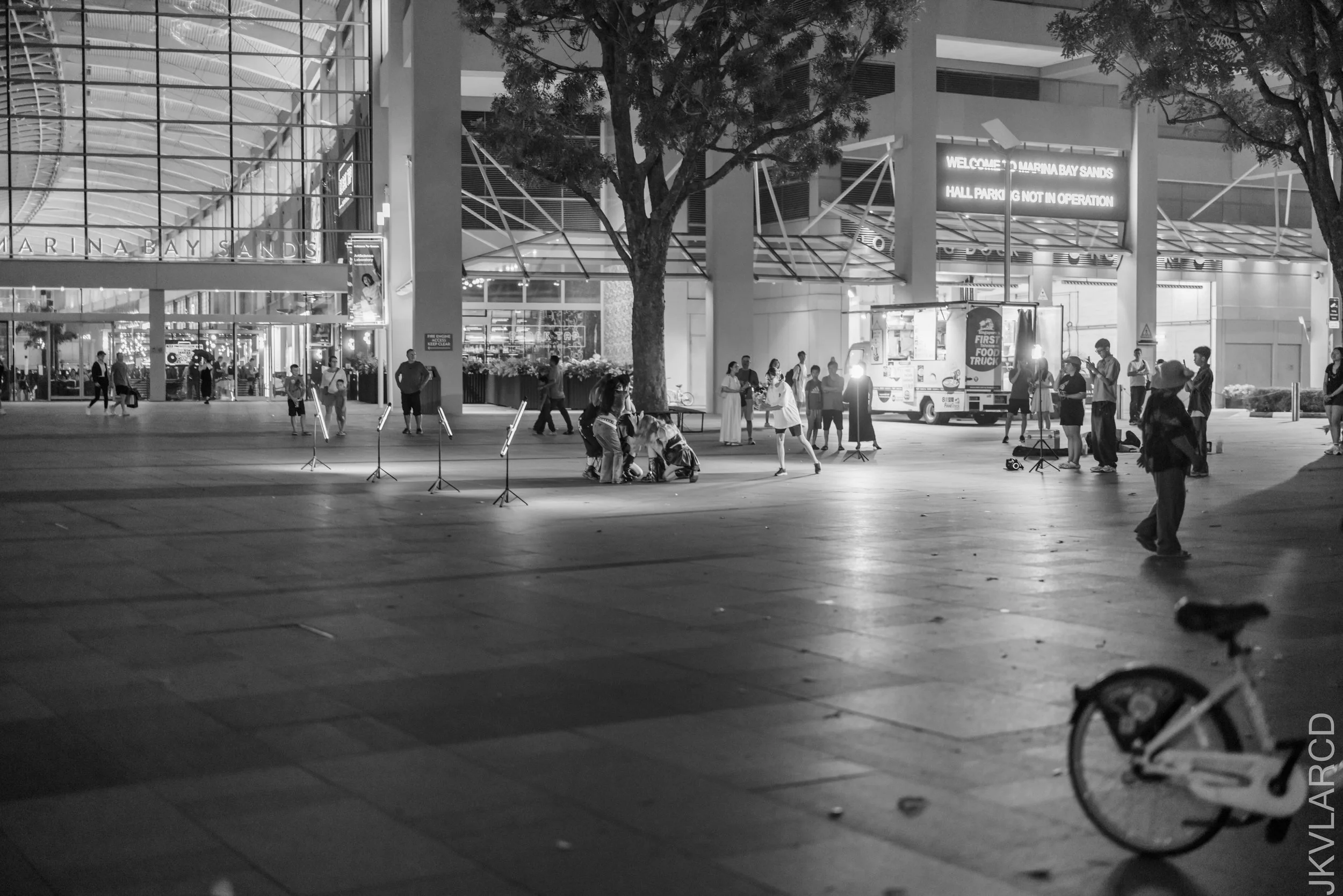 EOS R5_2026_04_11_0124.jpg