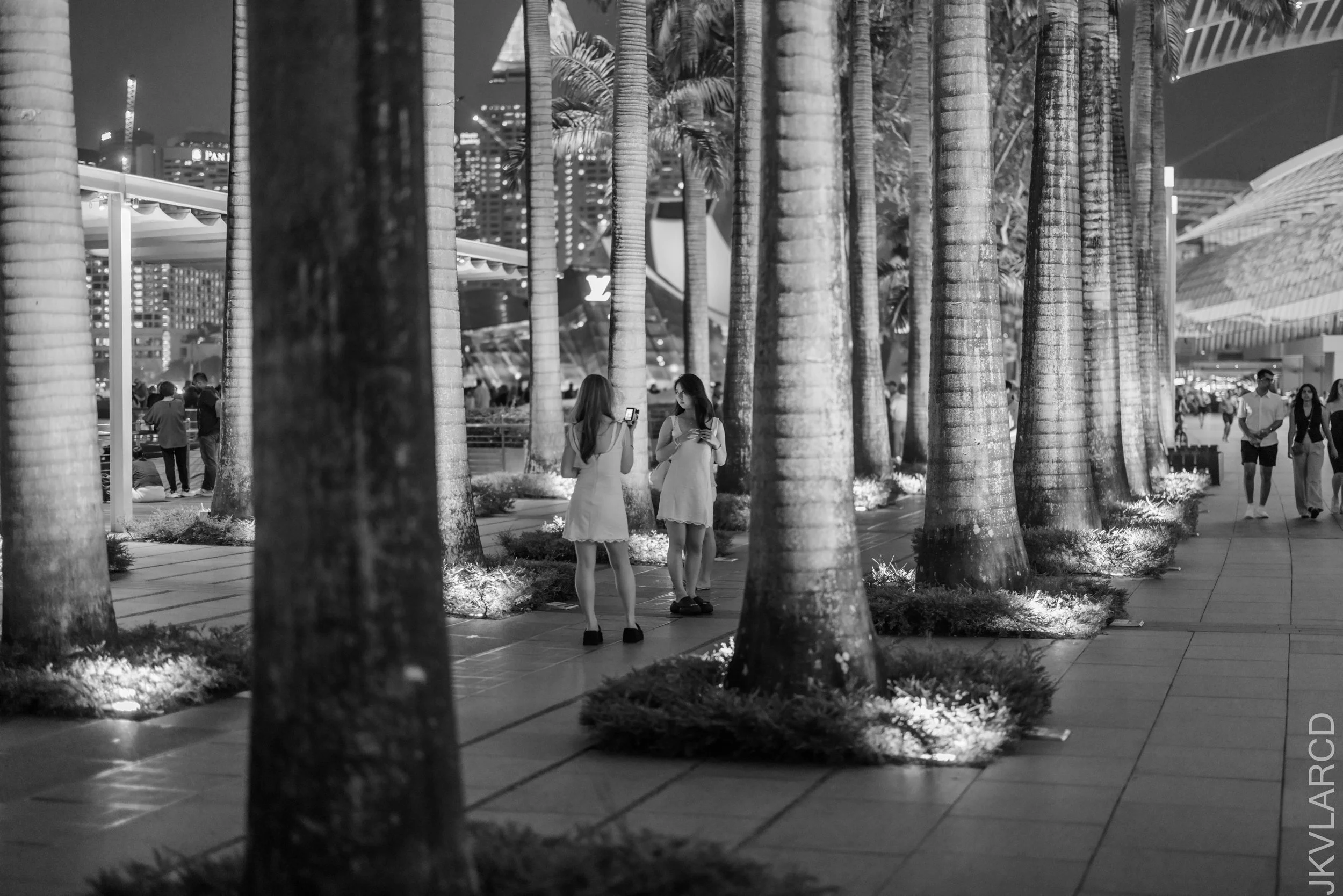 EOS R5_2026_04_11_0131.jpg