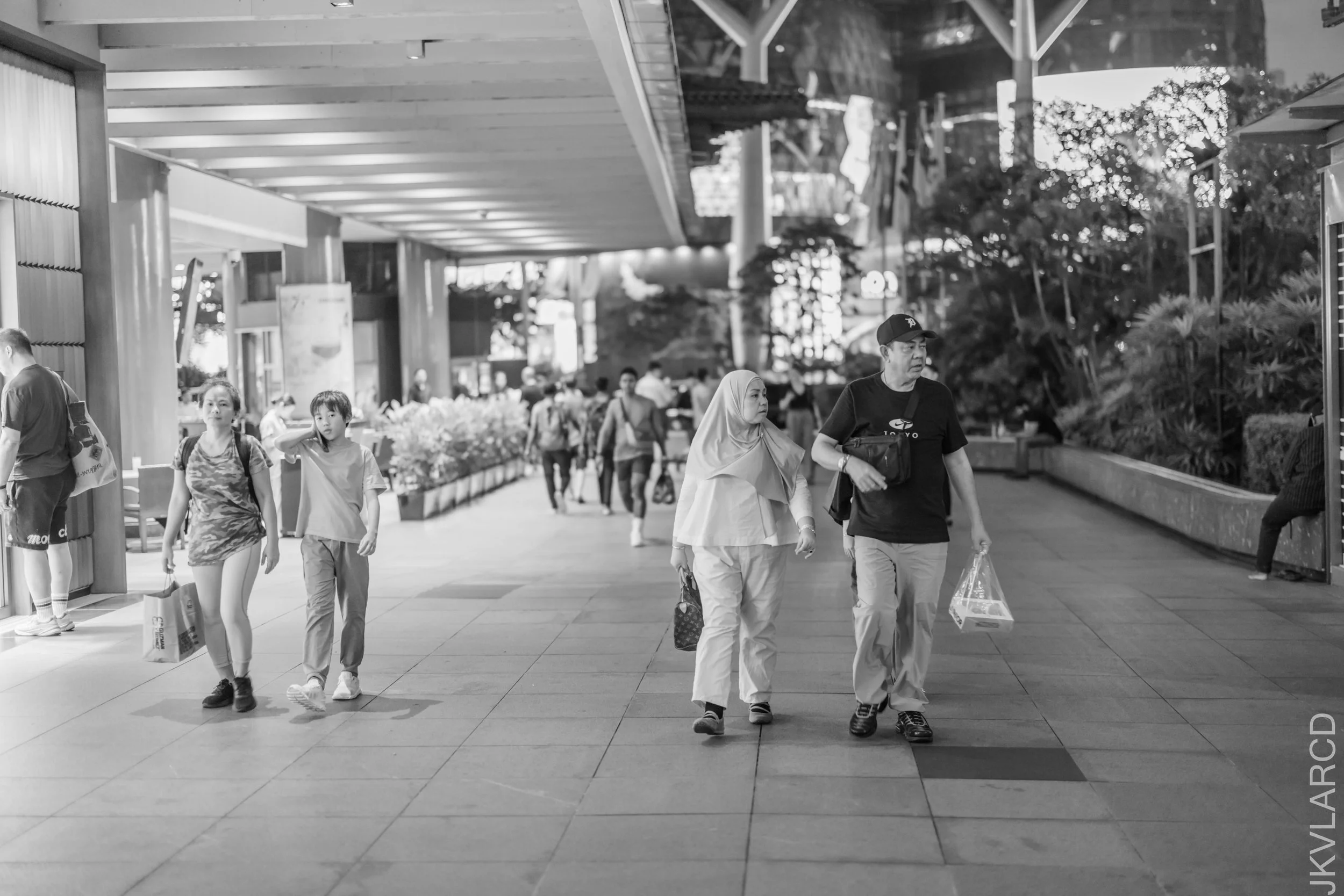 EOS R5_2026_04_25_0015.jpg