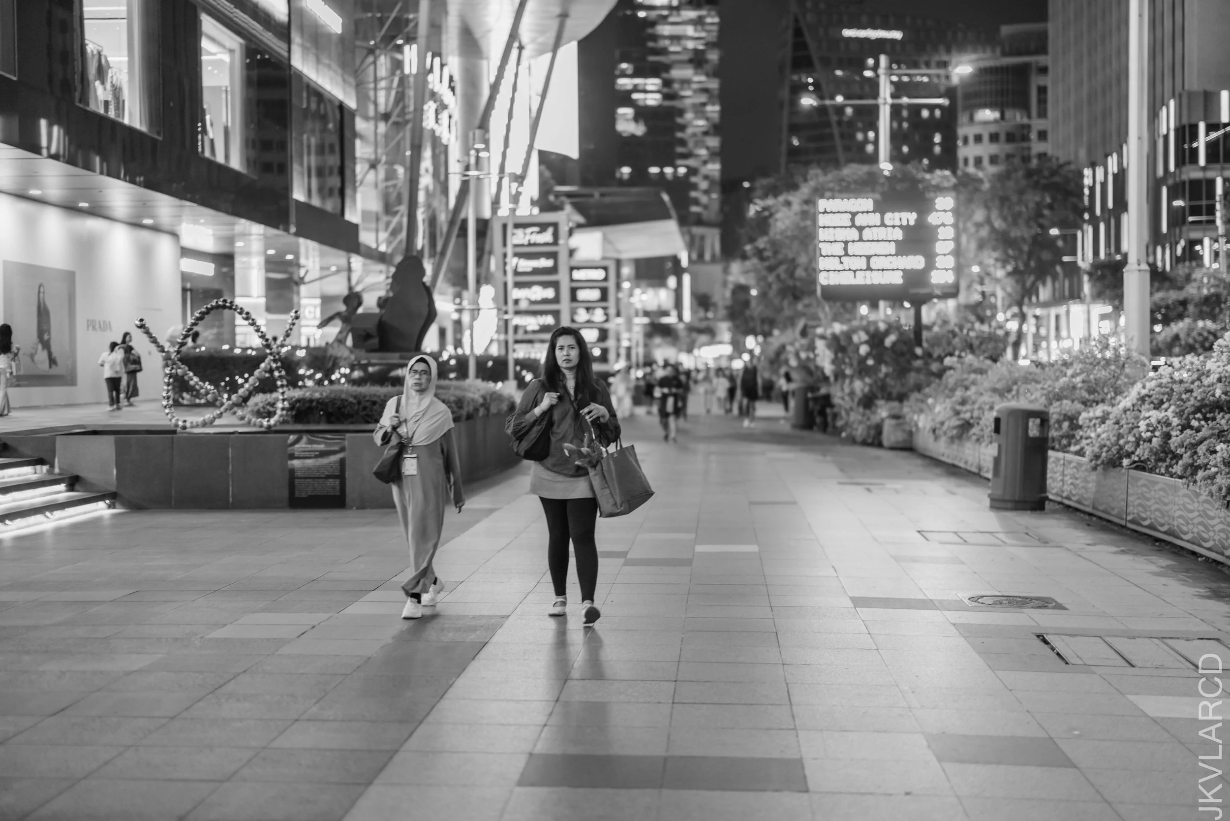 EOS R5_2026_04_25_0029.jpg