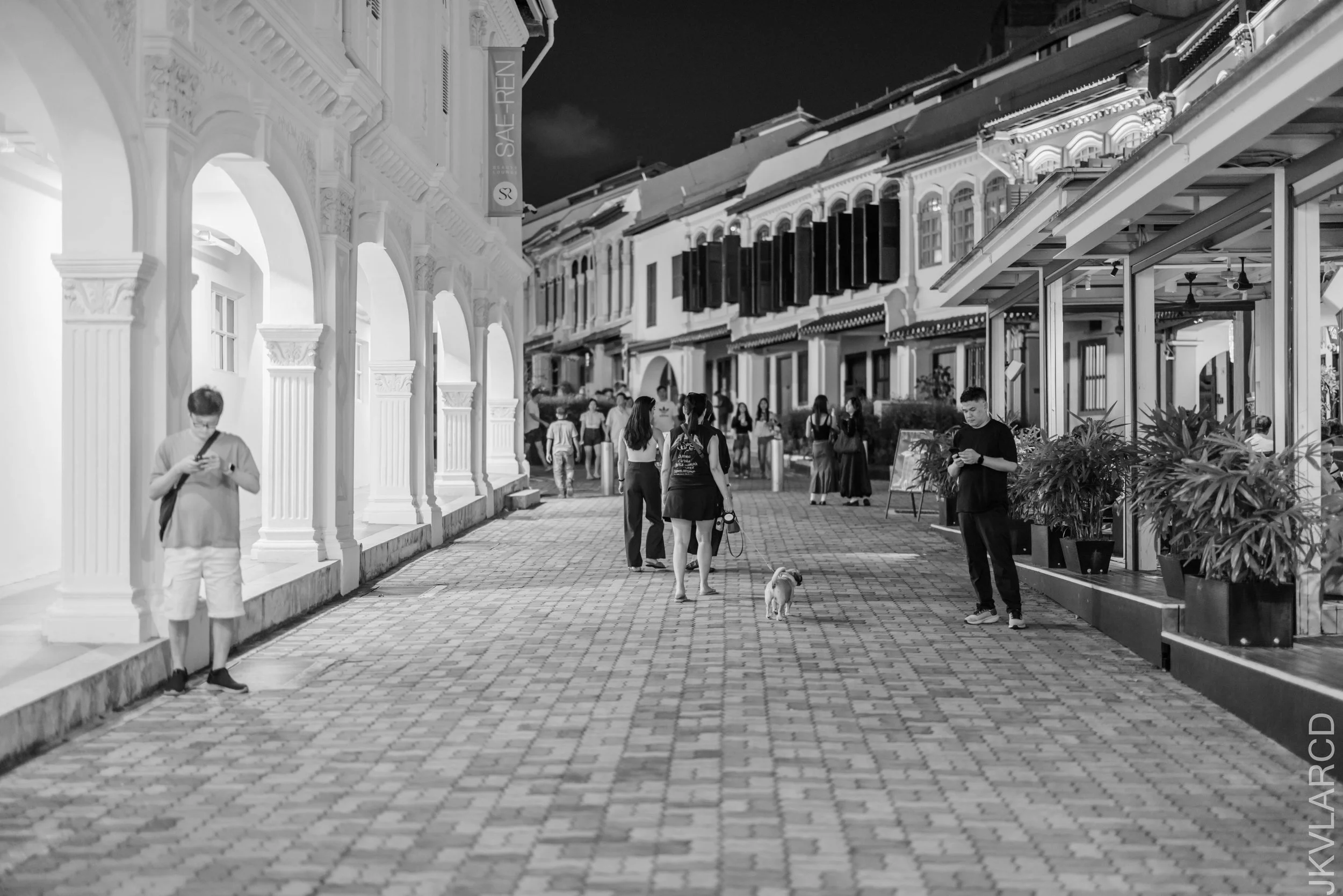 EOS R5_2026_04_25_0056.jpg