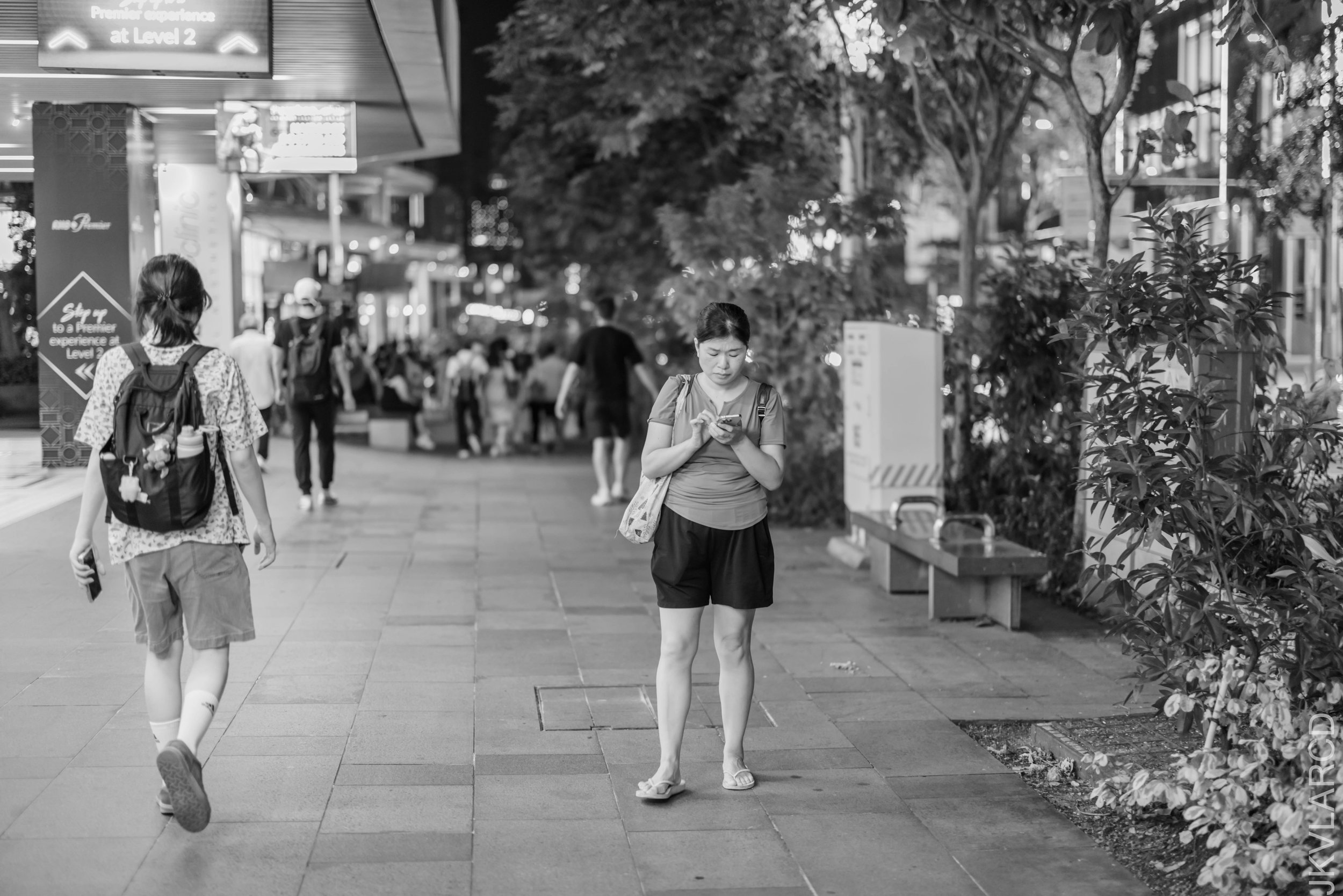 EOS R5_2026_04_25_0075.jpg