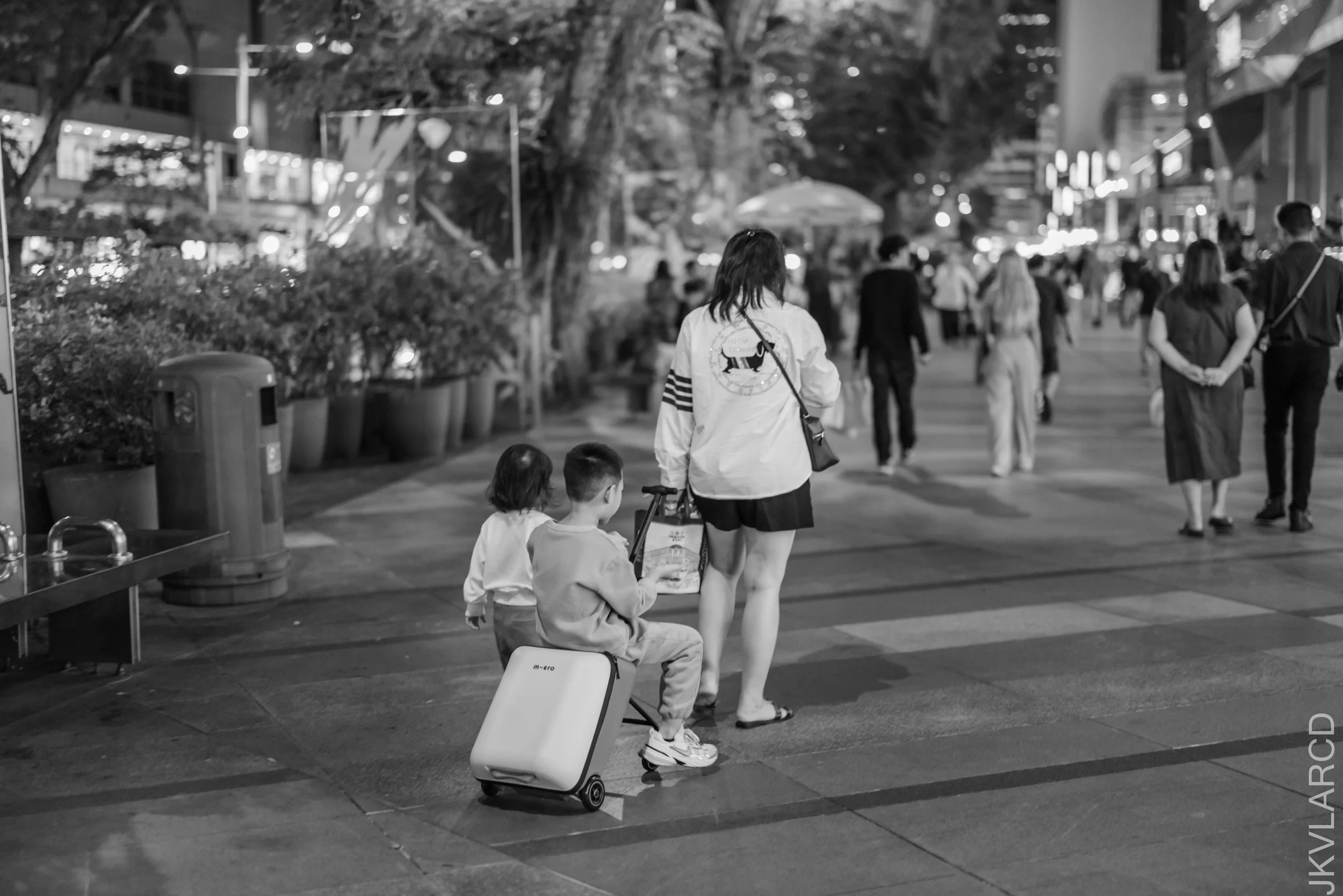 EOS R5_2026_04_25_0108.jpg