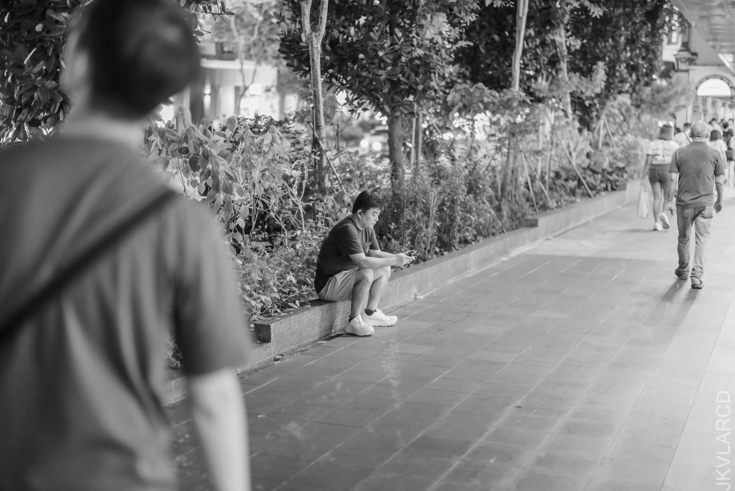 EOS R5_2026_04_25_0141.jpg