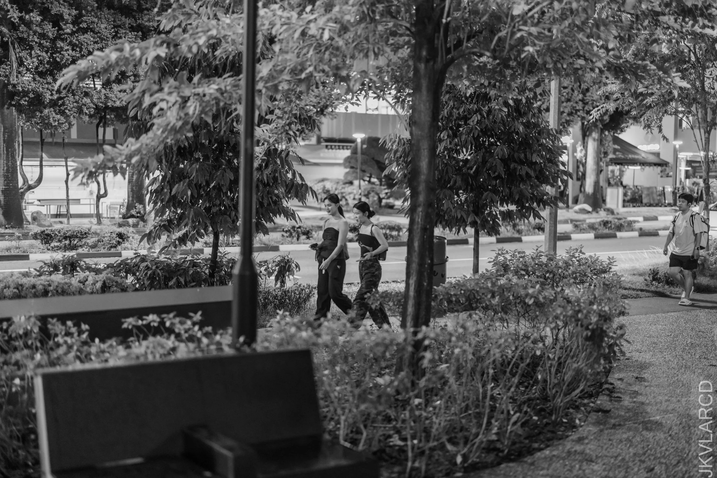 EOS R5_2026_05_16_0010.jpg
