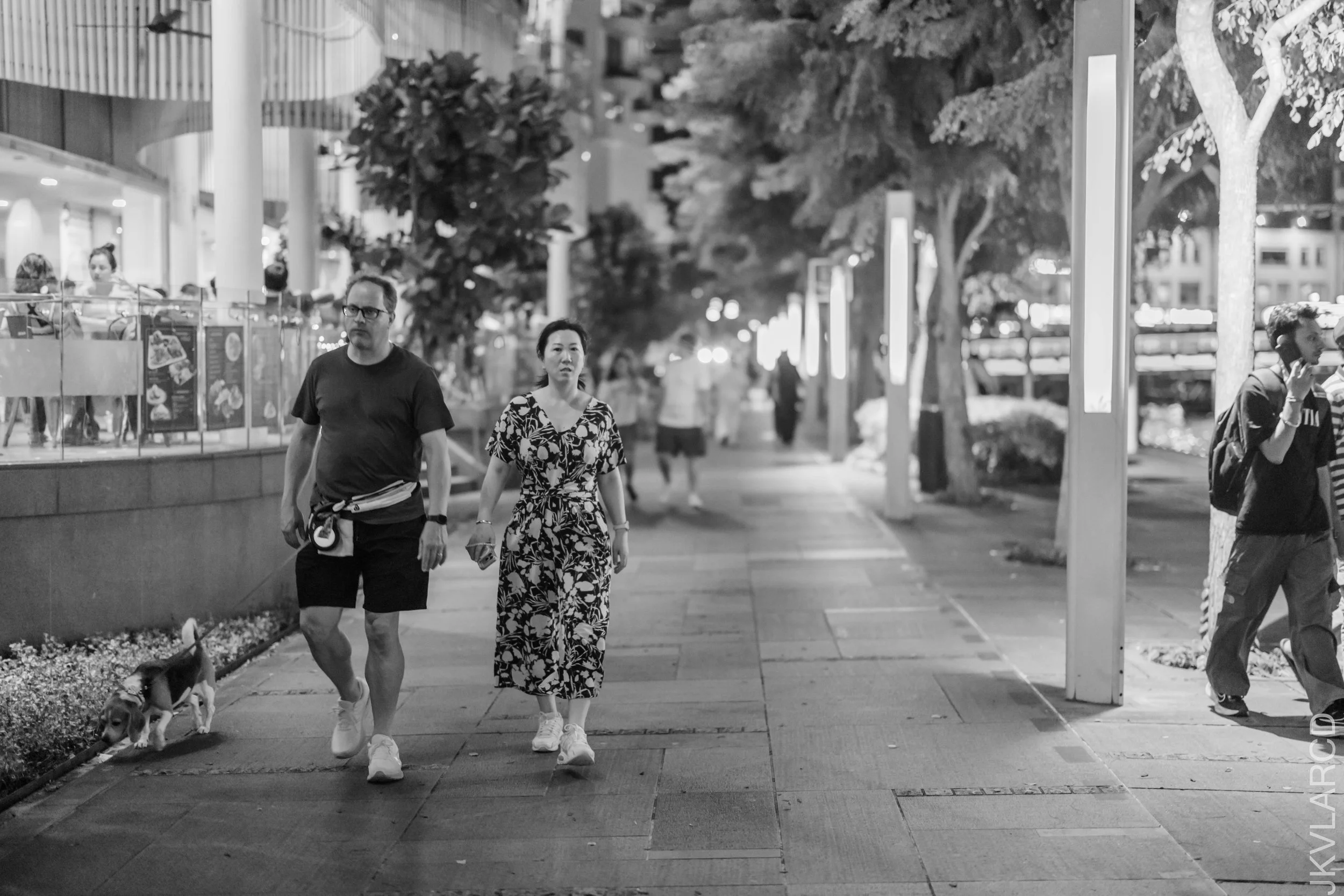 EOS R5_2026_06_13_0013.jpg