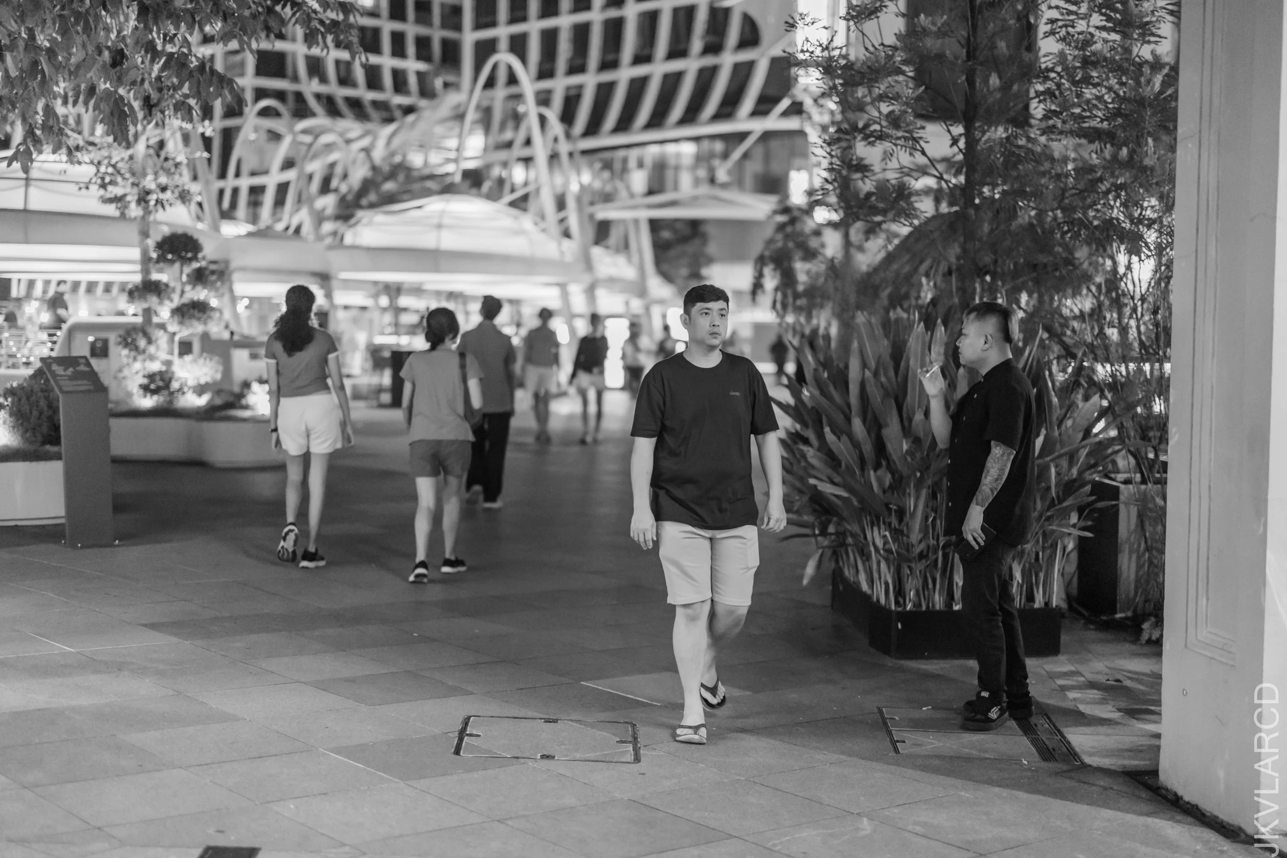 EOS R5_2026_06_13_0040.jpg