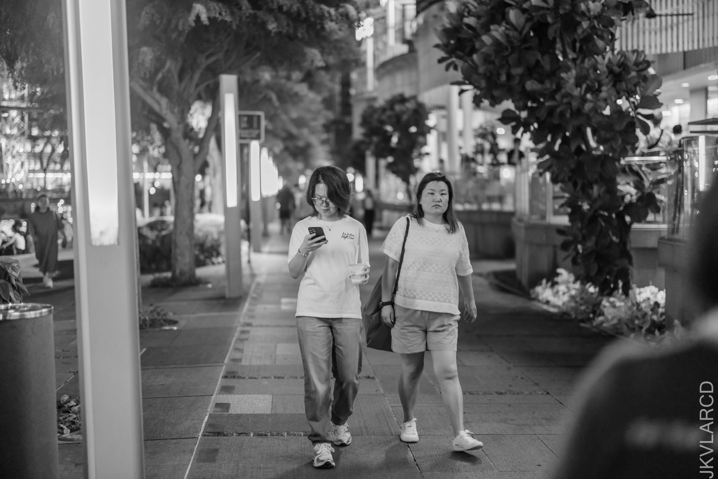 EOS R5_2026_06_13_0100.jpg