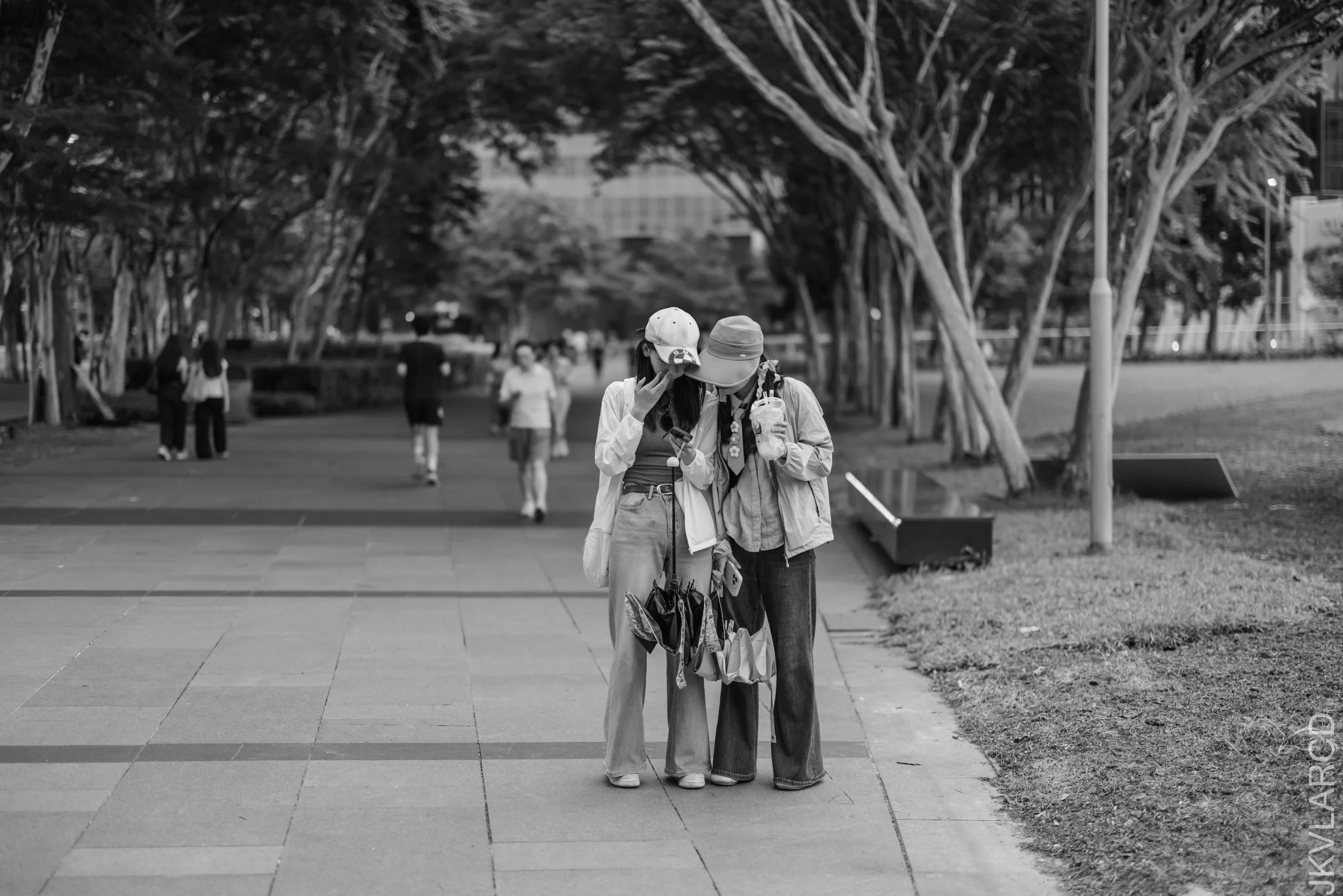 EOS R5_2026_07_04_0388.jpg
