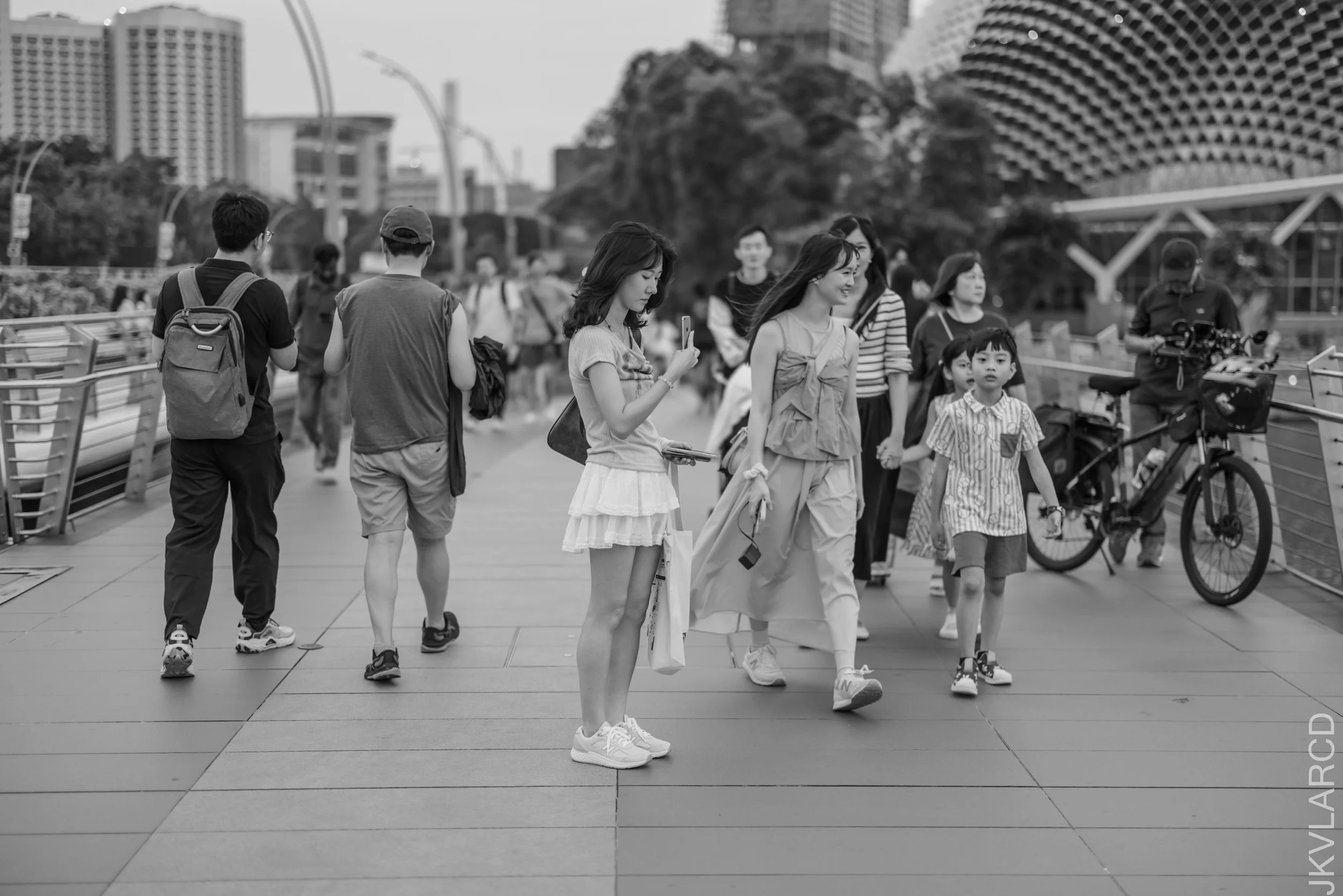 EOS R5_2026_07_04_0443.jpg