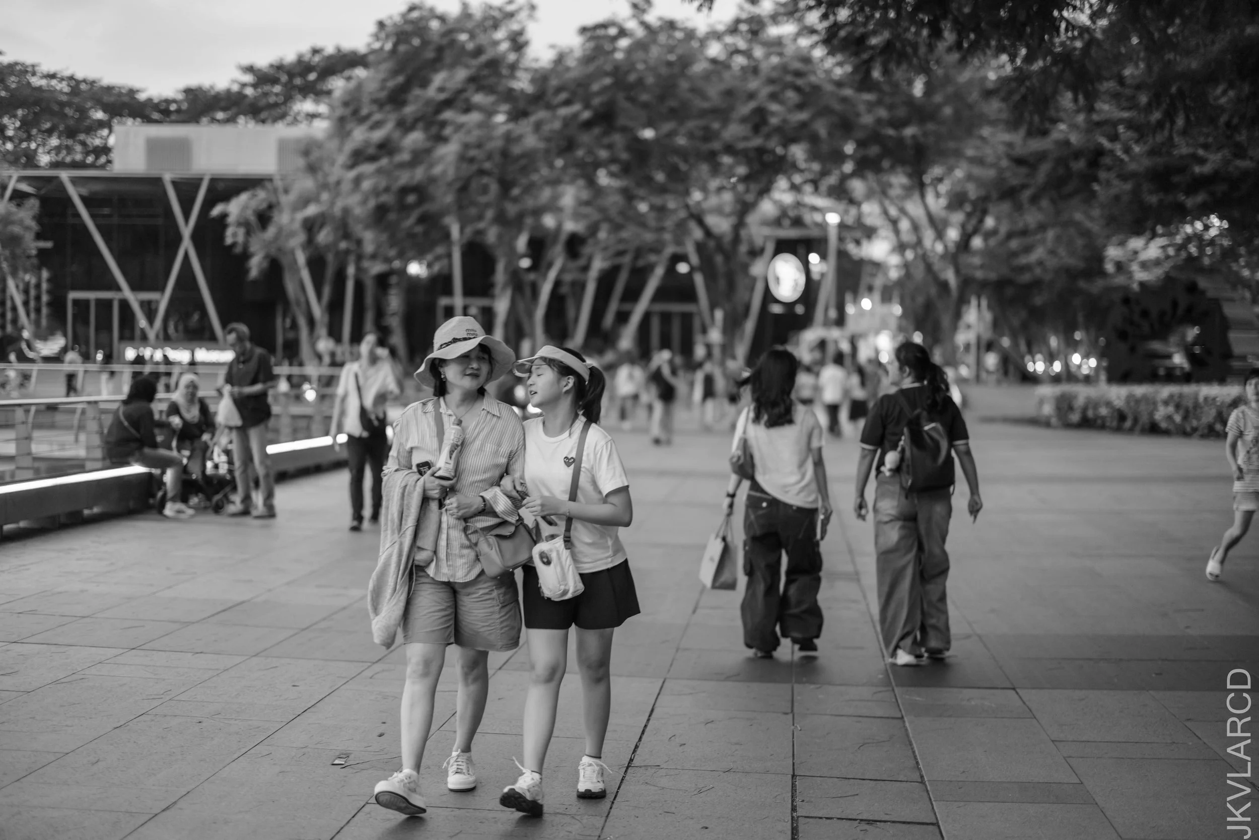 EOS R5_2026_07_04_0487.jpg