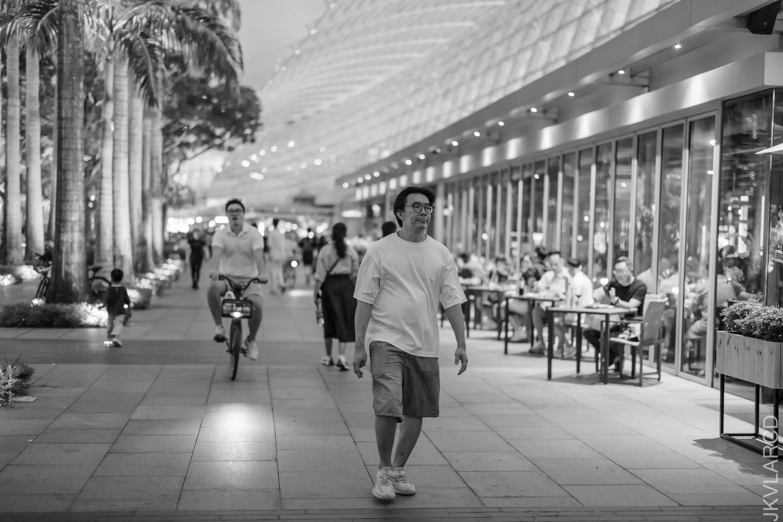 EOS R5_2026_07_04_0501.jpg
