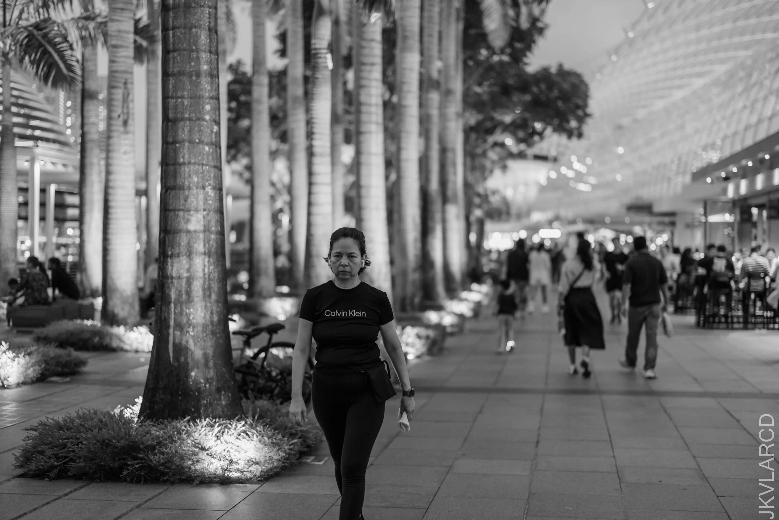 EOS R5_2026_07_04_0502.jpg