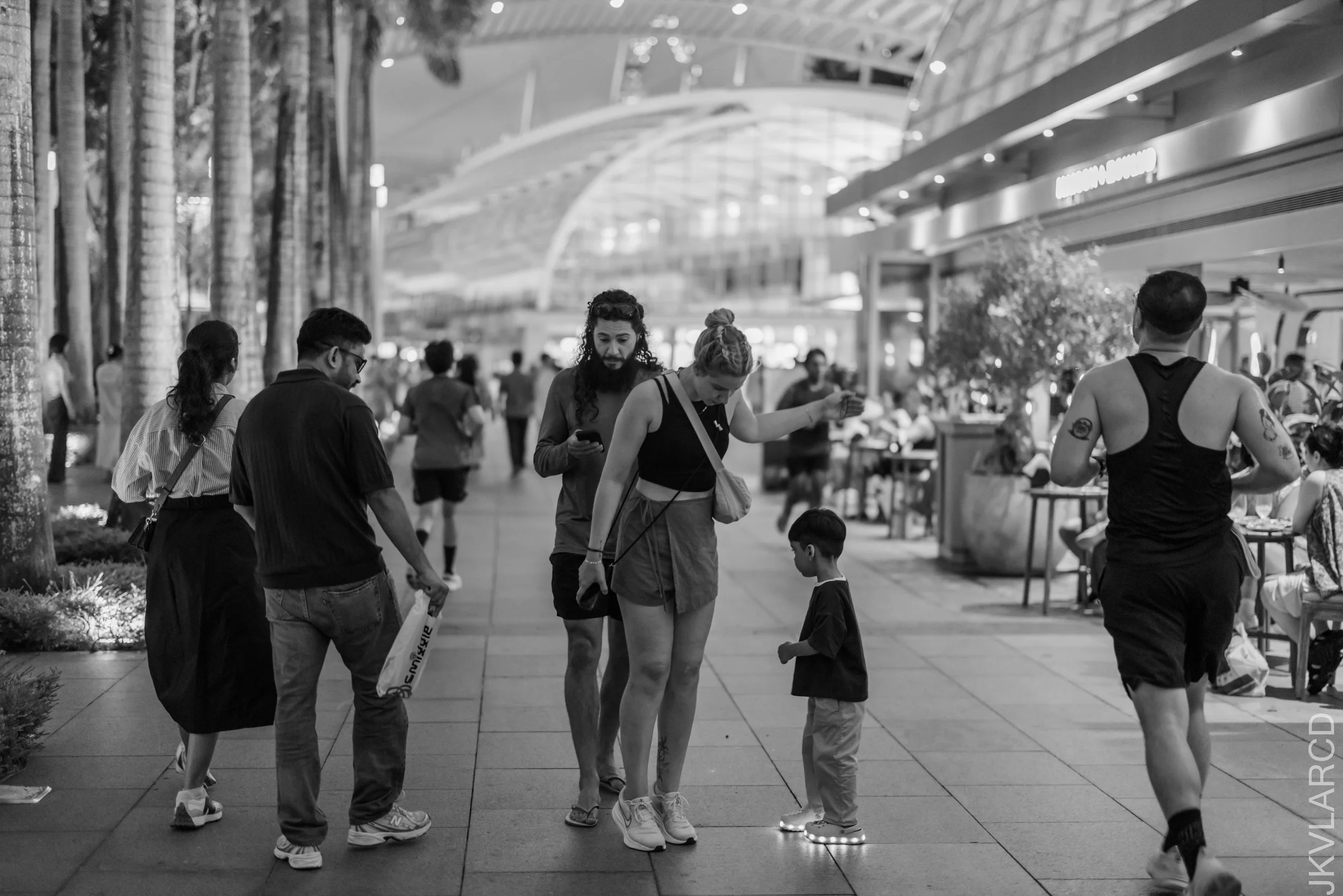 EOS R5_2026_07_04_0505.jpg