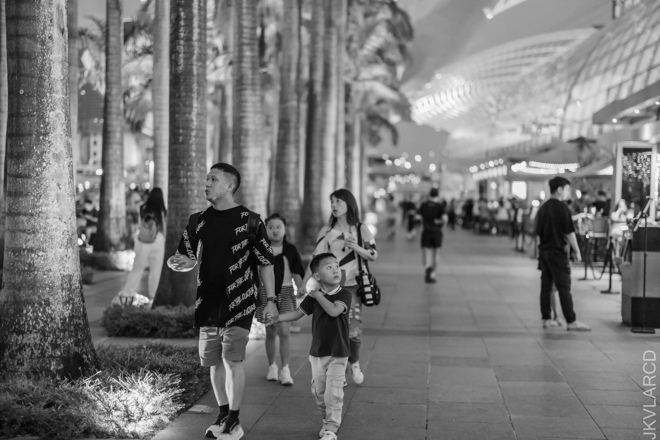 EOS R5_2026_07_04_0509.jpg
