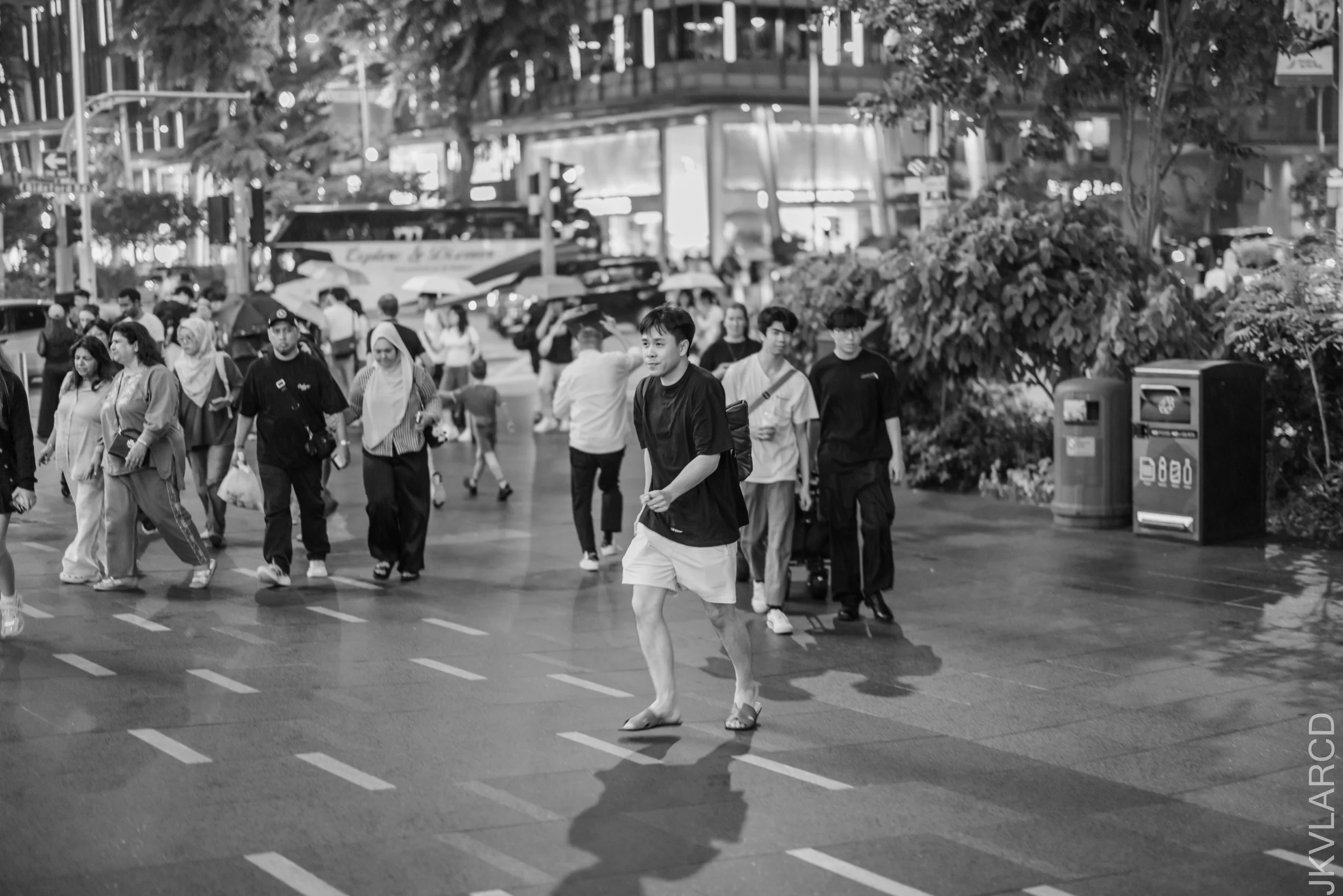 EOS R5_2026_07_11_0017.jpg