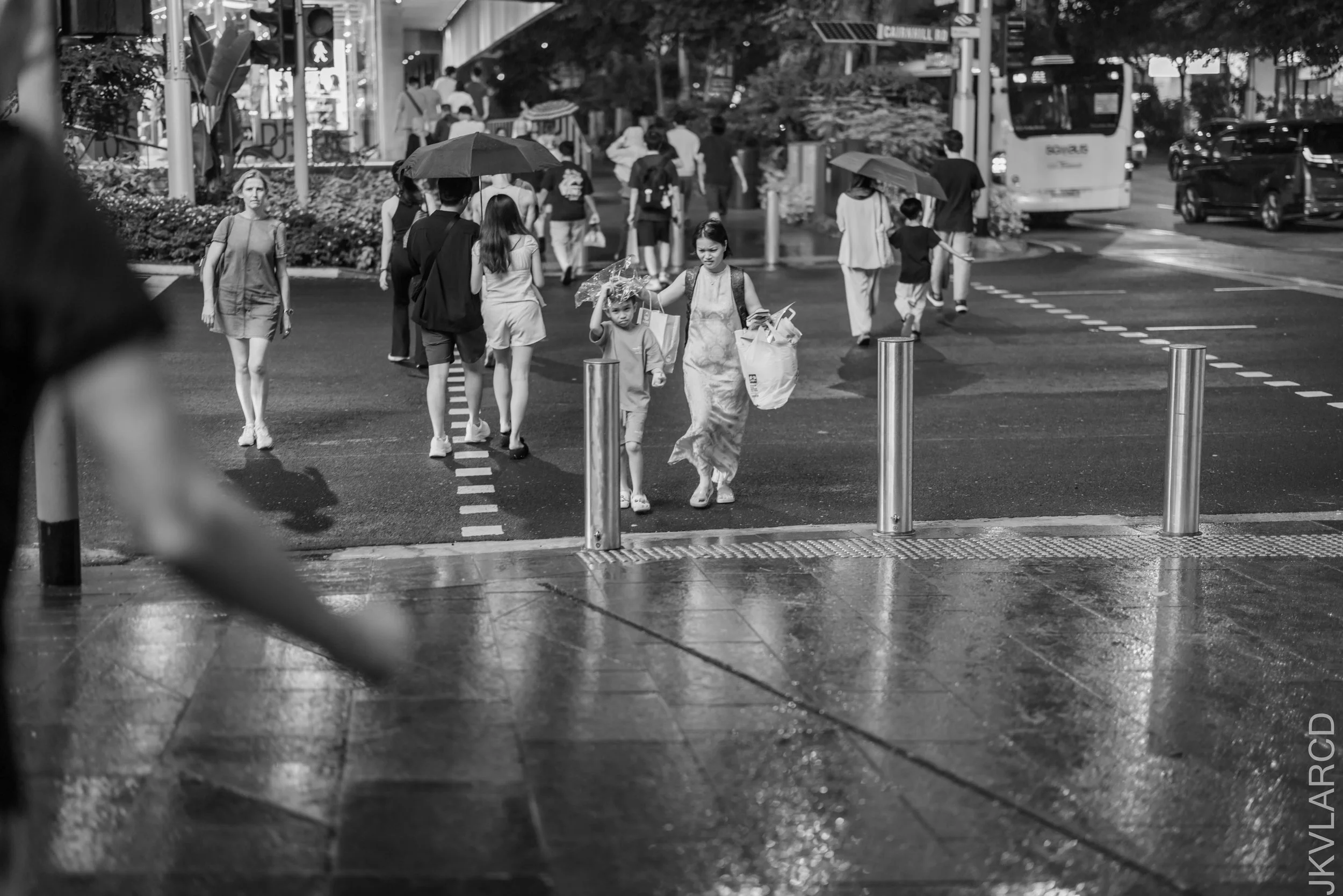 EOS R5_2026_07_11_0019.jpg