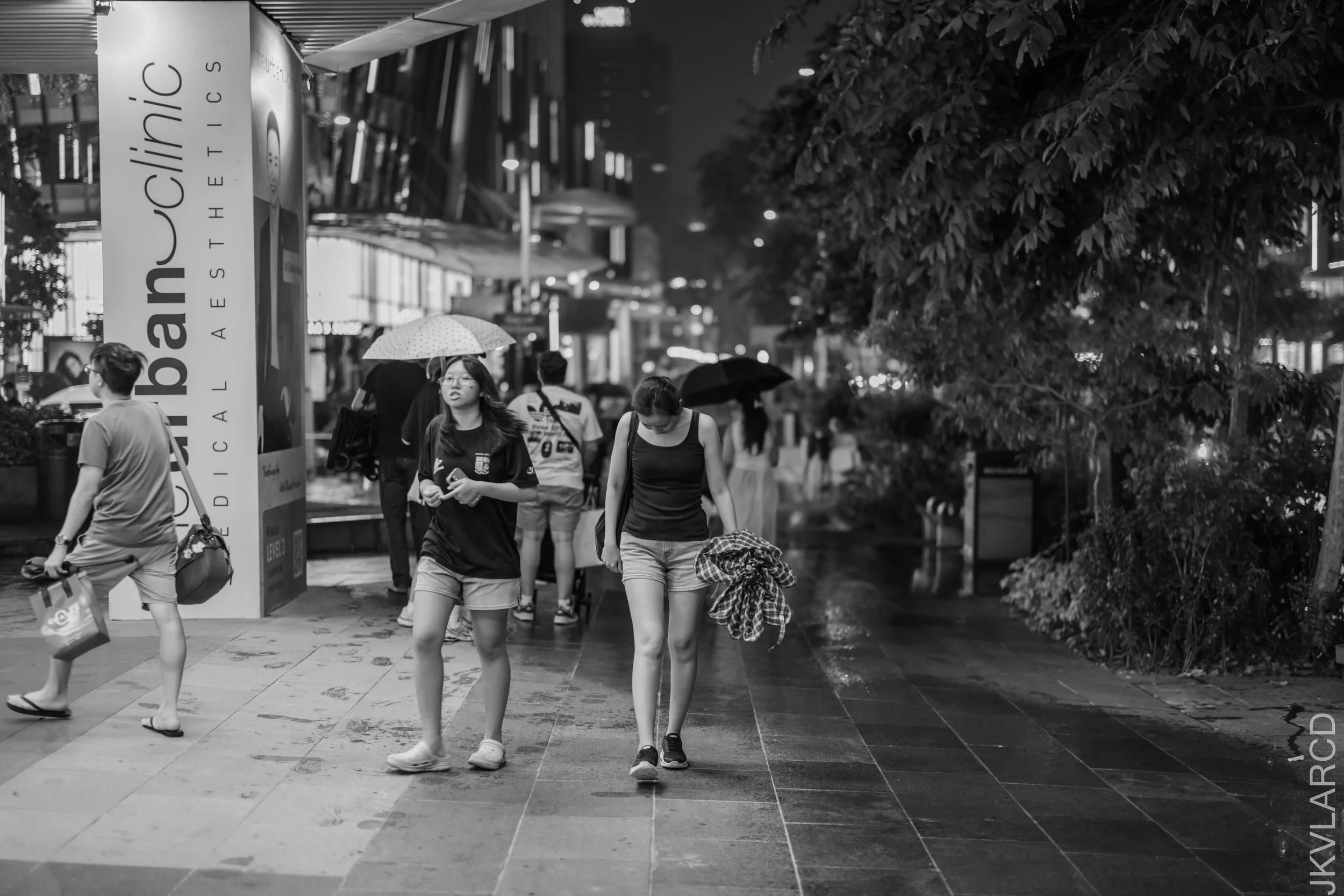 EOS R5_2026_07_11_0029.jpg