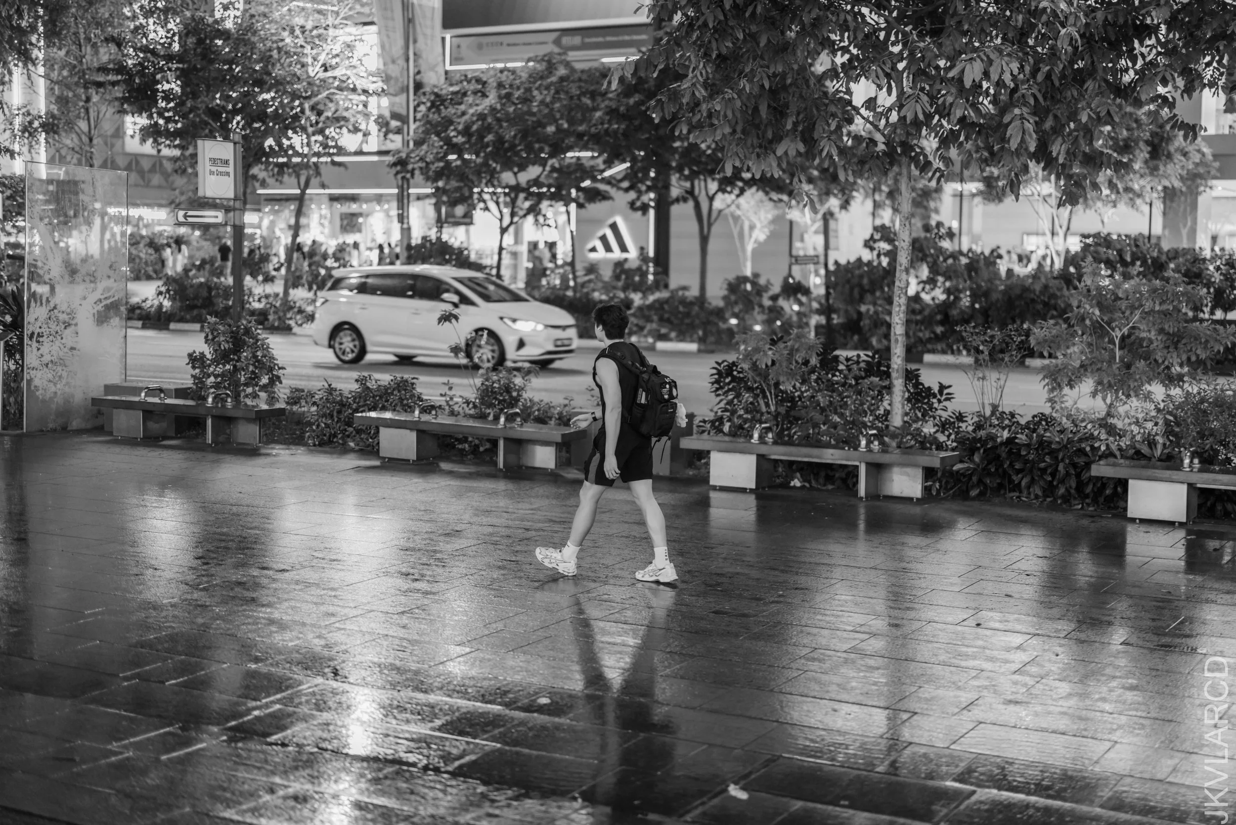 EOS R5_2026_07_11_0033.jpg