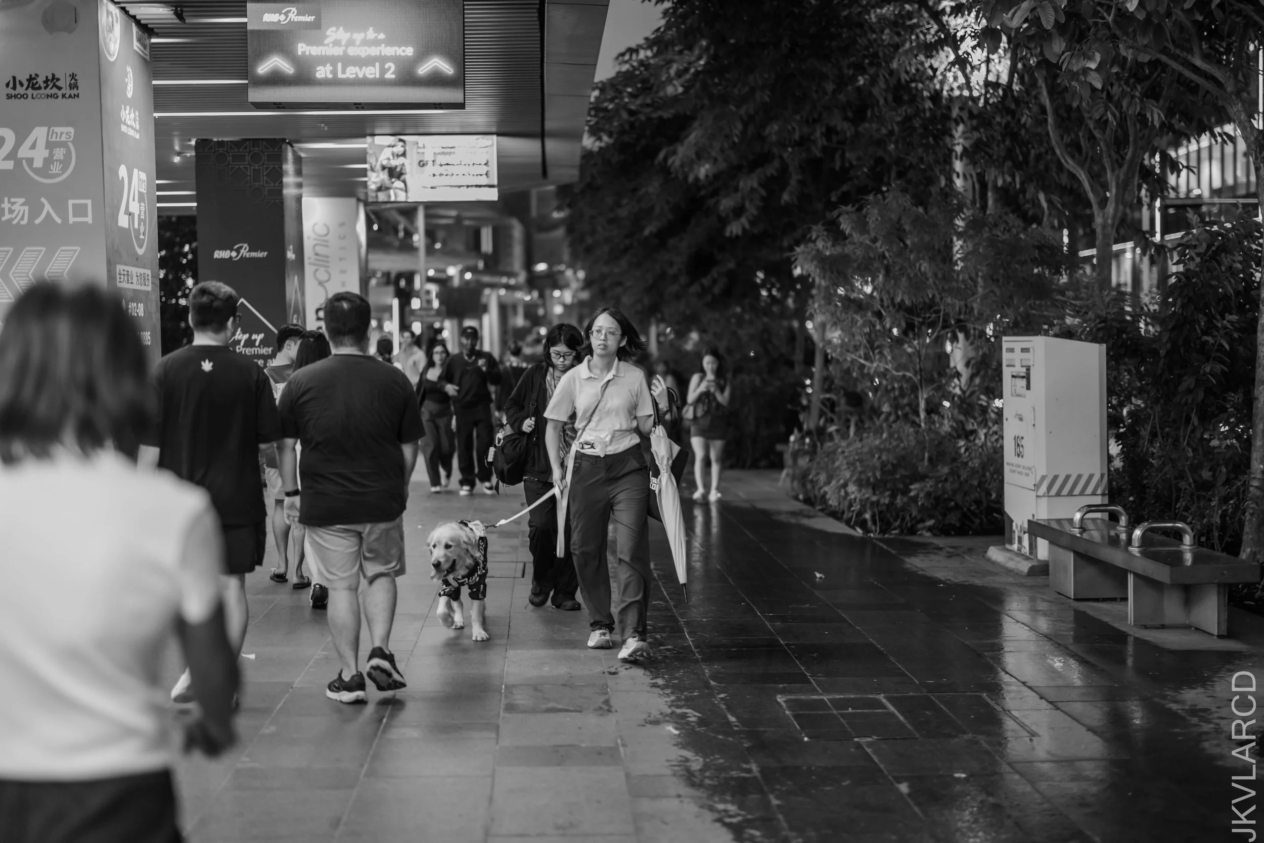 EOS R5_2026_07_18_0080.jpg