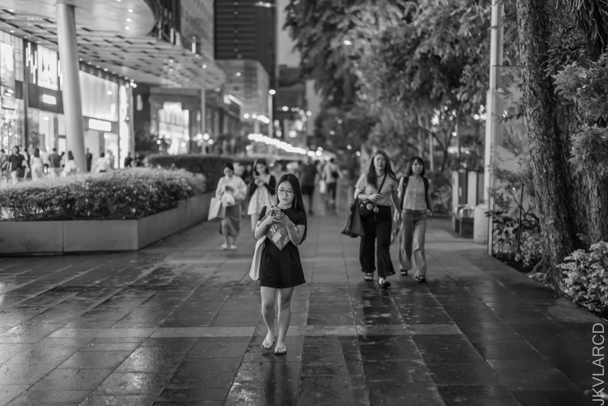 EOS R5_2026_07_18_0087.jpg