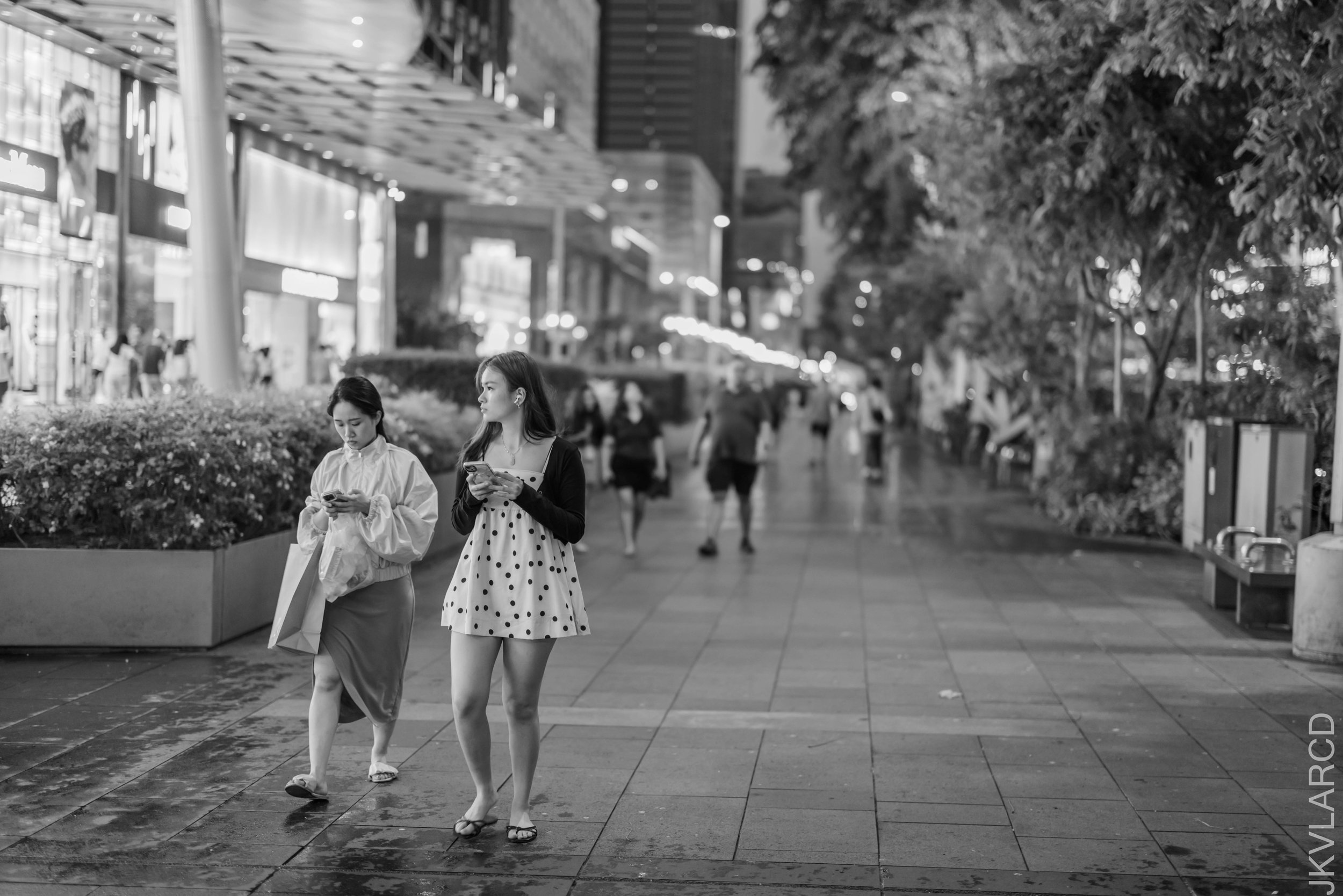 EOS R5_2026_07_18_0088.jpg