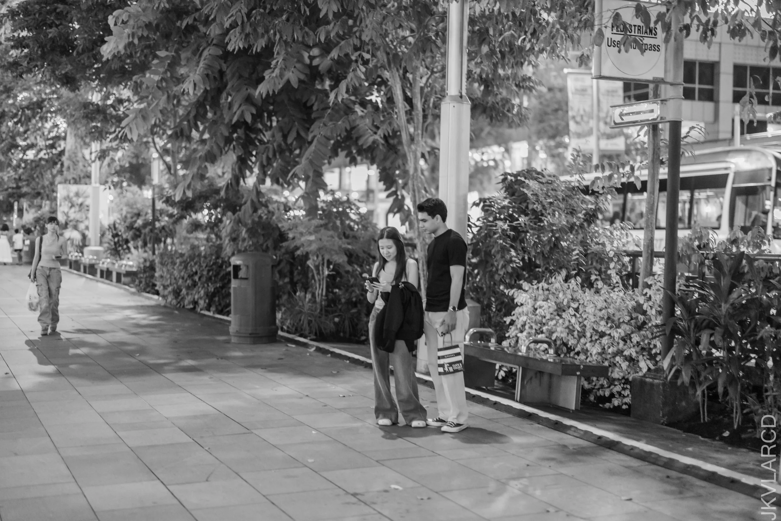 EOS R5_2026_07_18_0108.jpg
