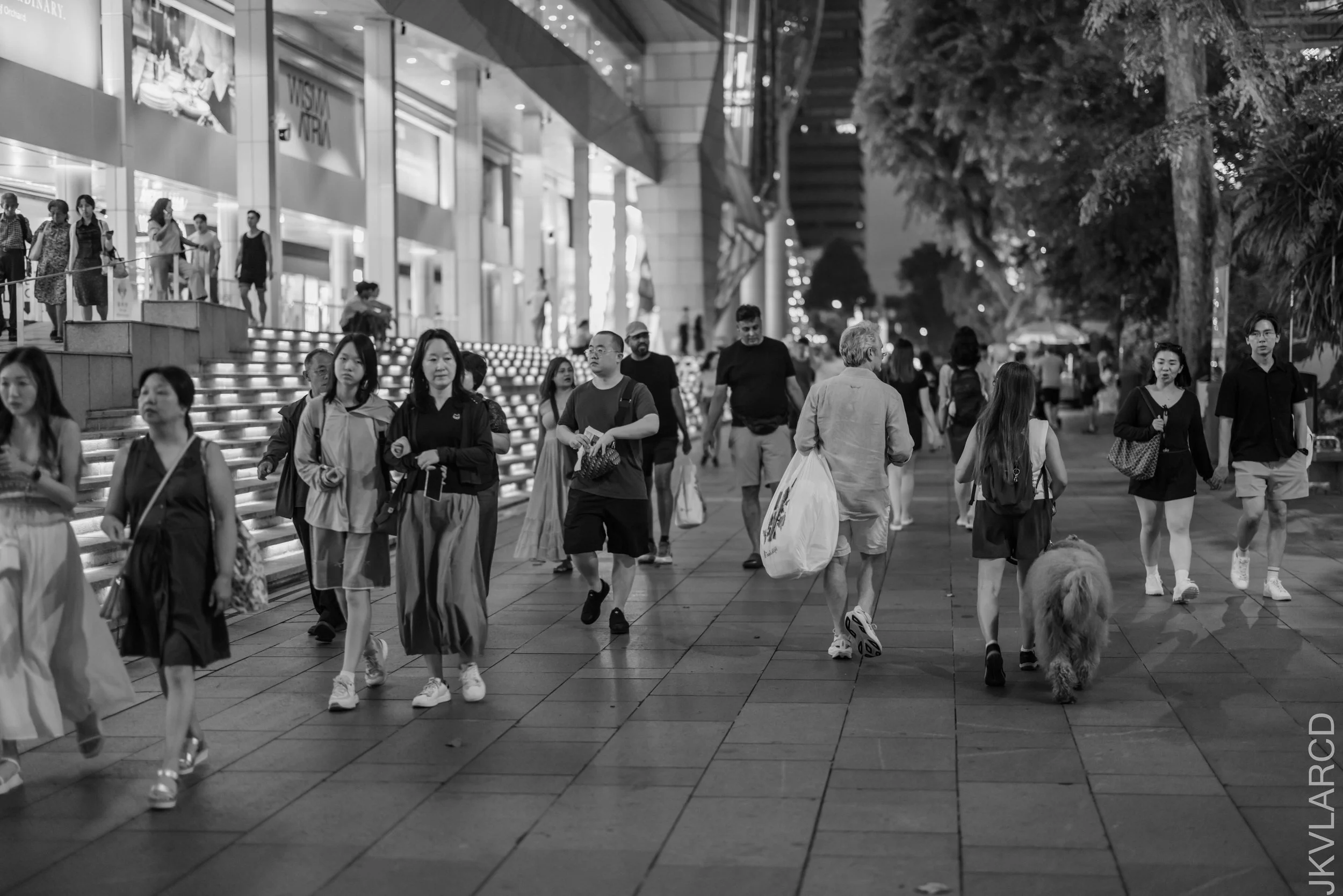 EOS R5_2026_07_18_0113.jpg
