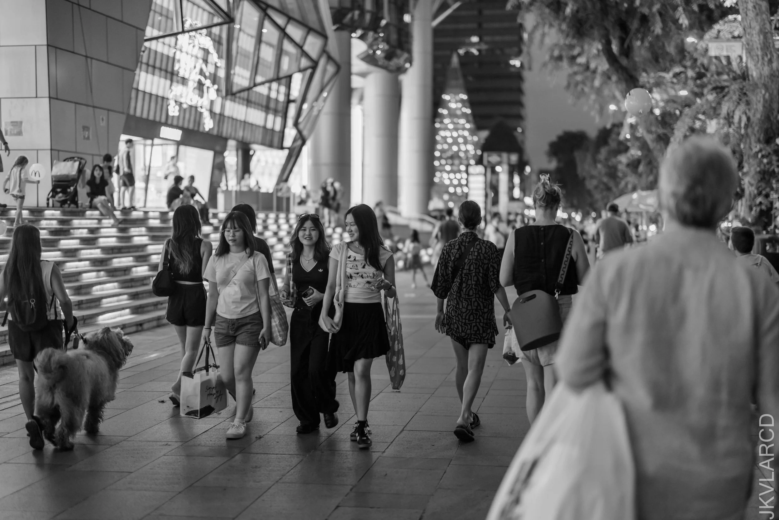 EOS R5_2026_07_18_0116.jpg
