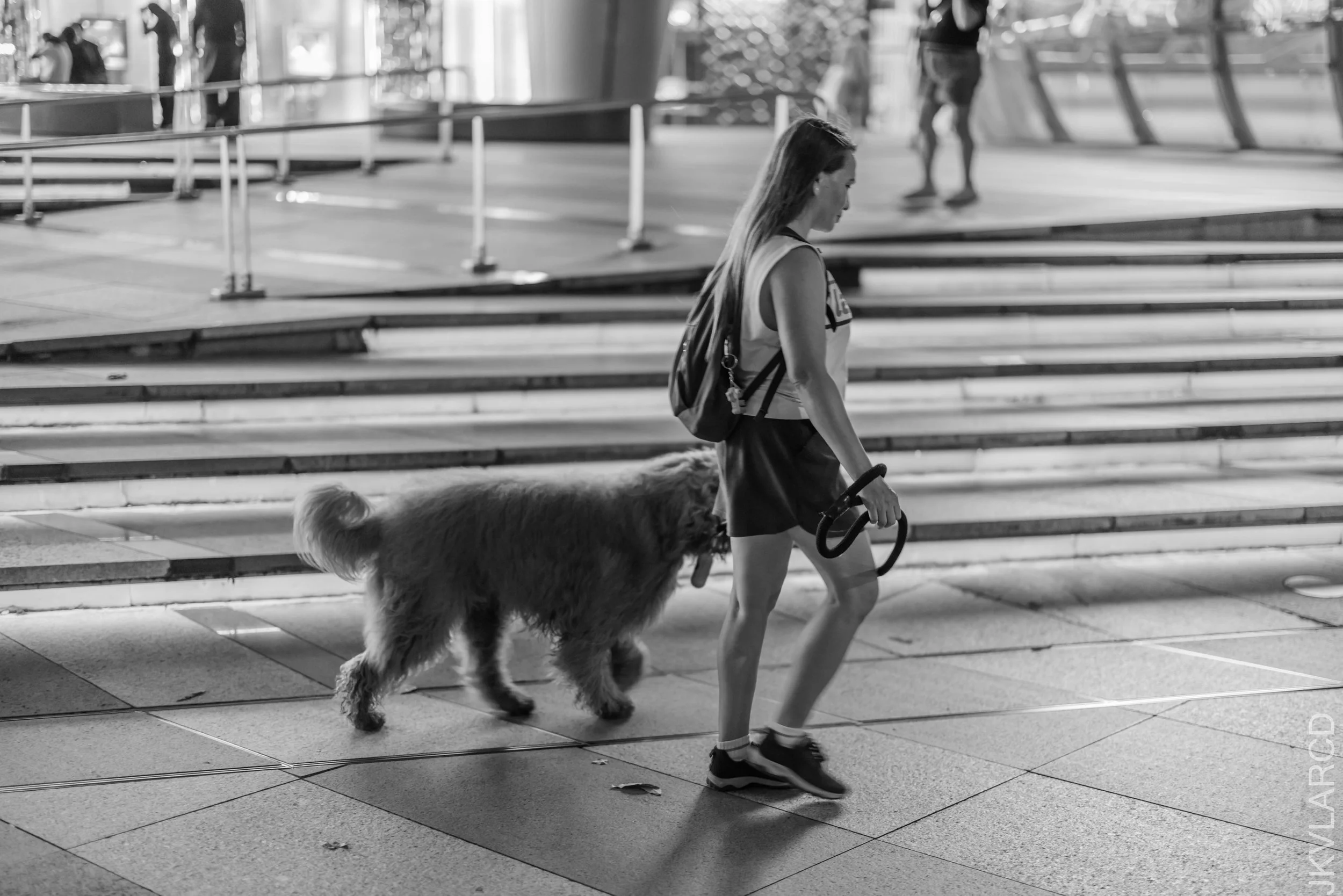 EOS R5_2026_07_18_0124.jpg