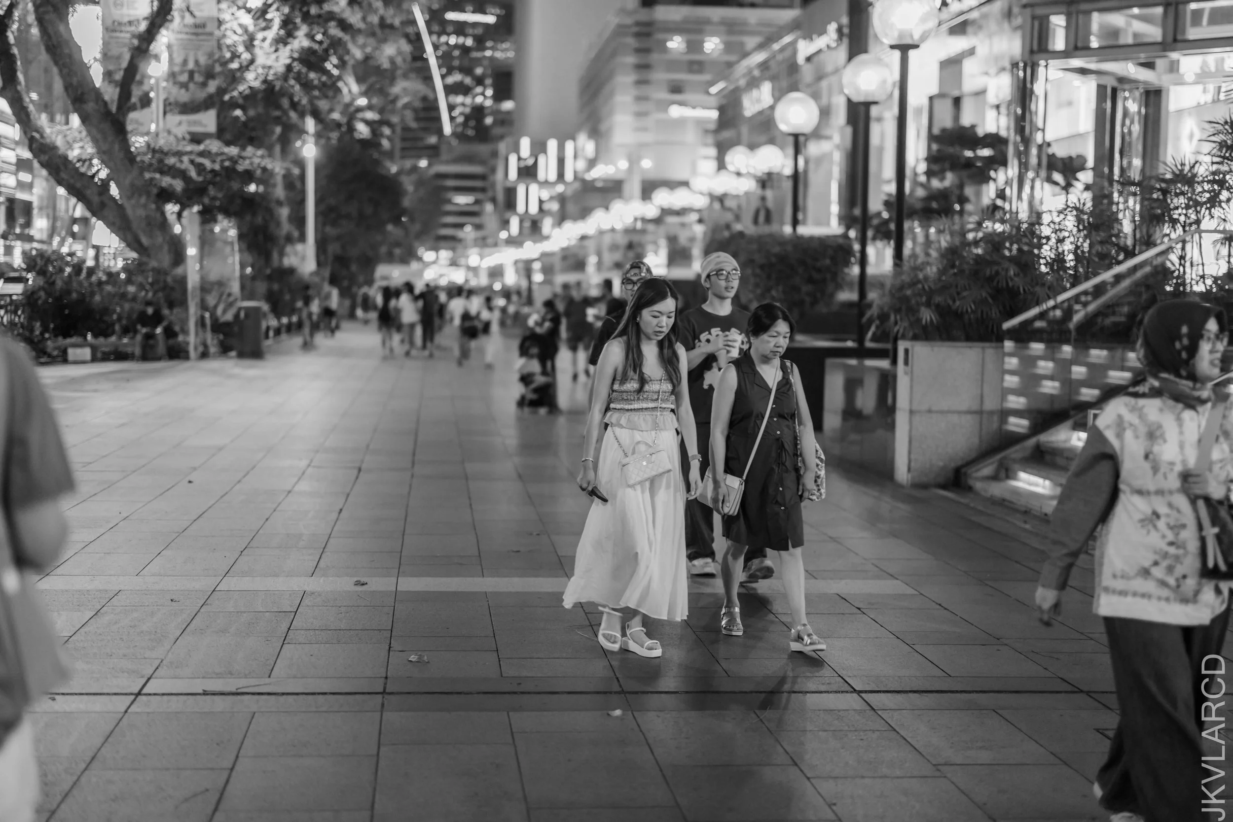 EOS R5_2026_07_18_0135.jpg