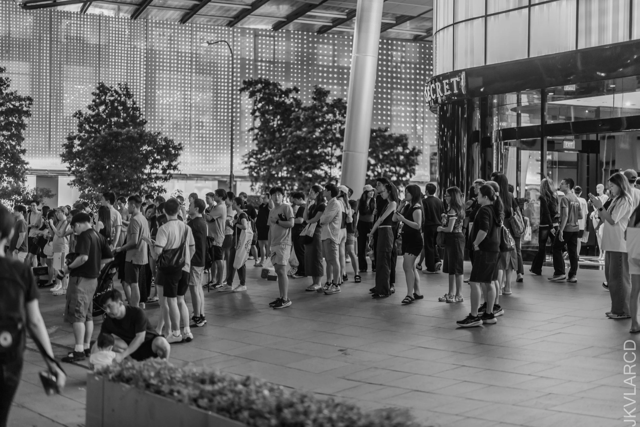 EOS R5_2026_07_18_0159.jpg