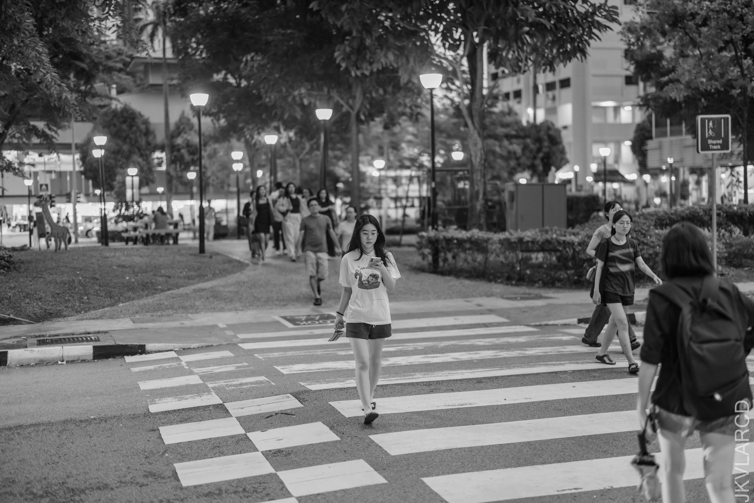 EOS R5_2026_07_25_0001.jpg
